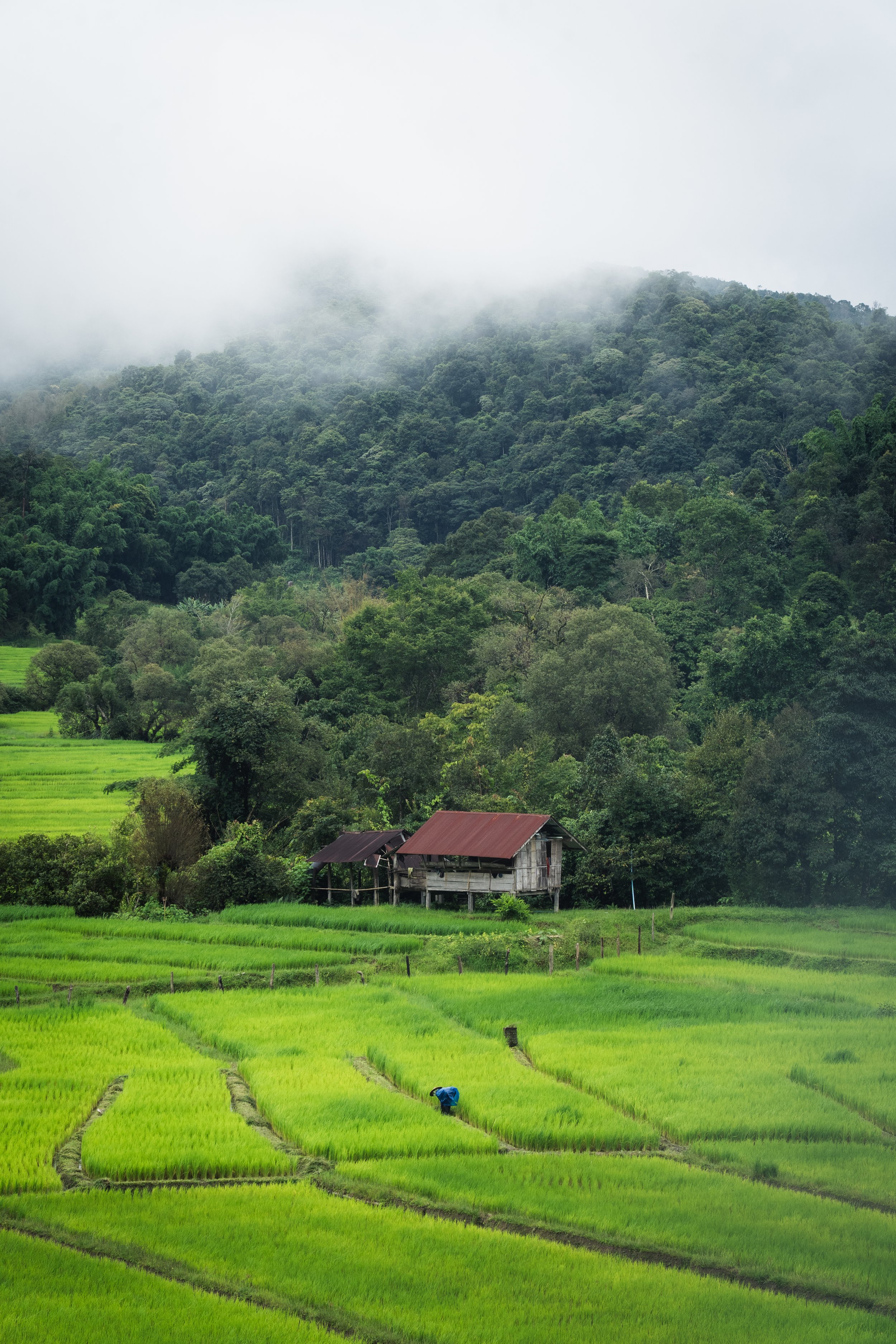 Mae Hong Son-19.jpg