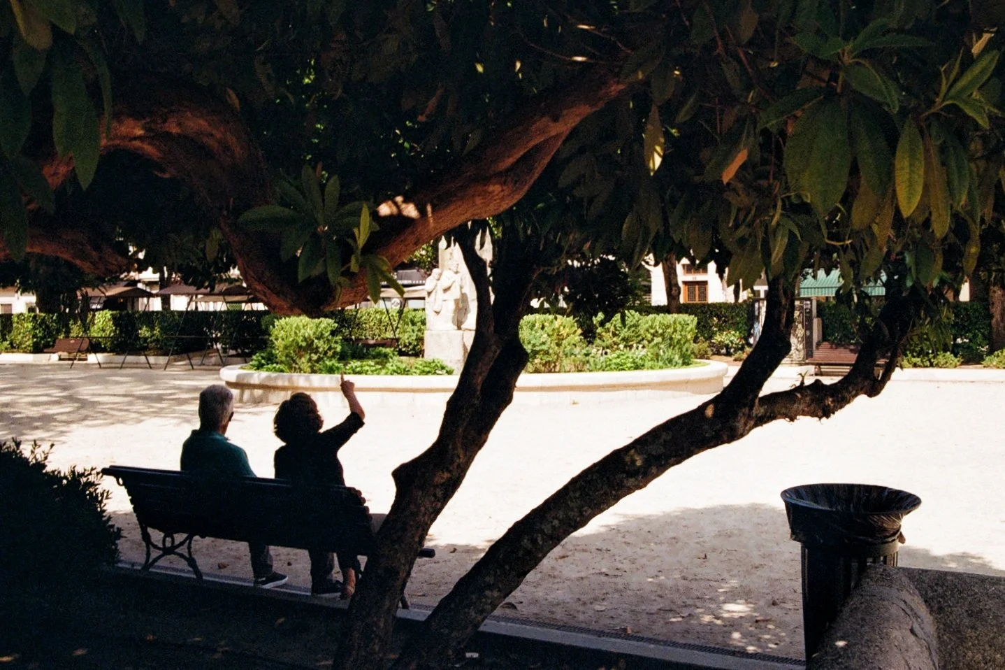 Two people sitting on a park bench under a large tree, with one person raising their hand, in an urban park setting with benches, greenery, and a statue in the background, during late afternoon or early evening.
