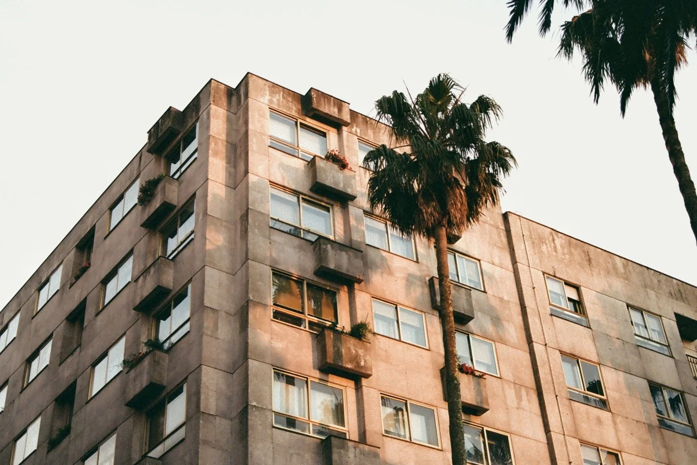 A multi-story apartment building with several windows and balconies, some with plants, and tall palm trees in the foreground, under a clear sky.