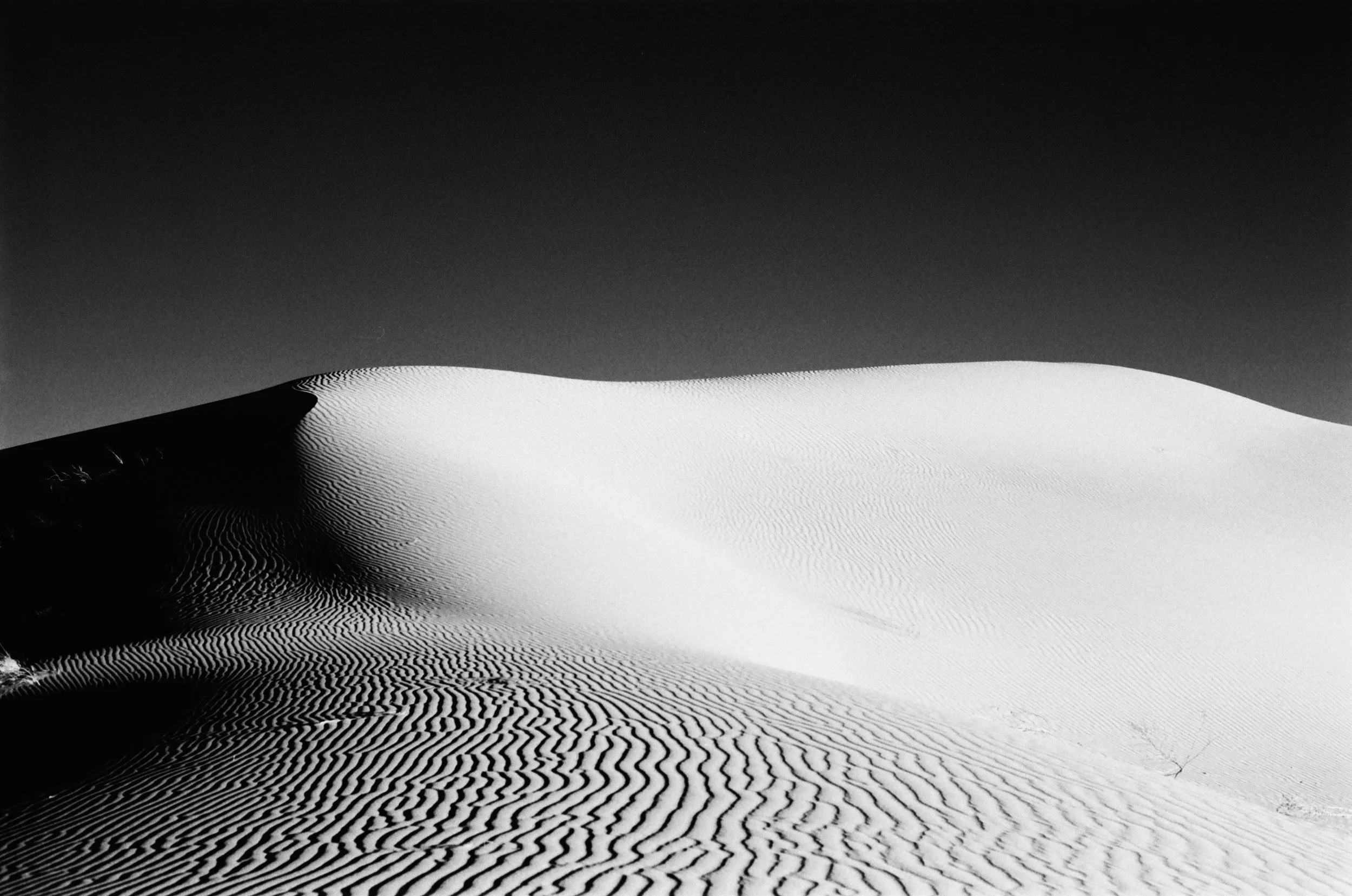 @Bullard.photography