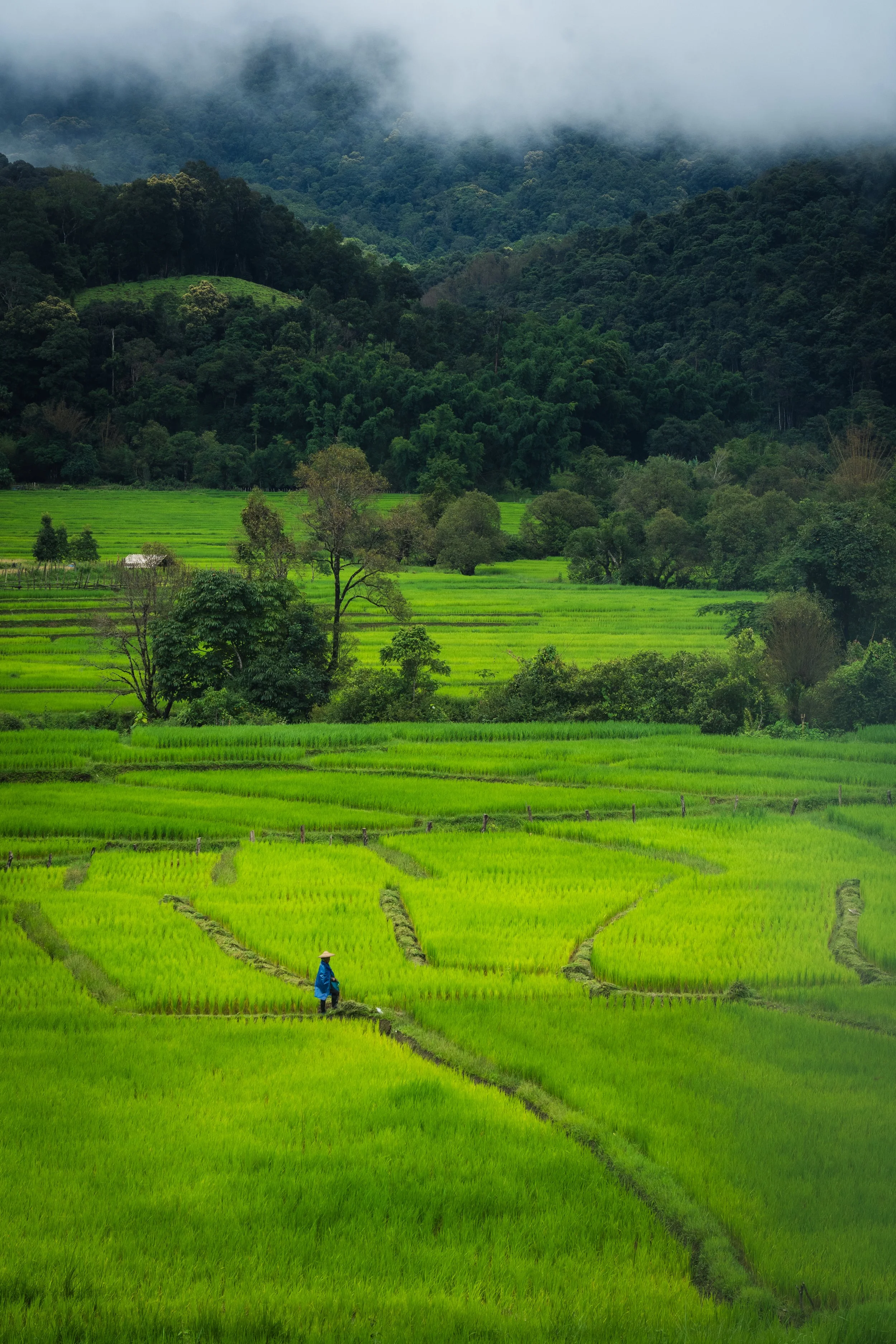 Mae Hong Son-21.jpg