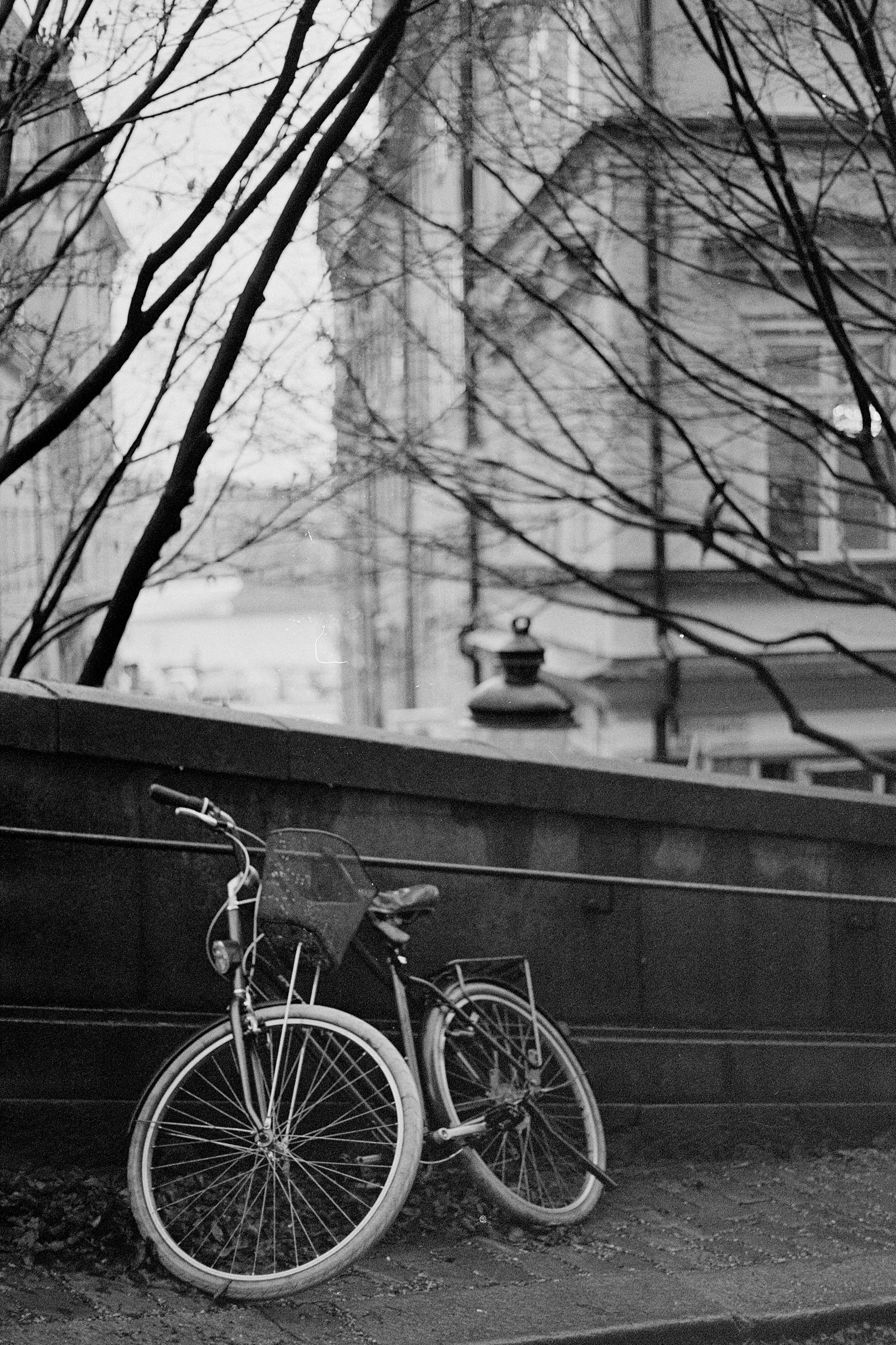 A black and white photo of a bicycle leaning against a wooden fence on a city street, with leafless tree branches overhead and buildings in the background.