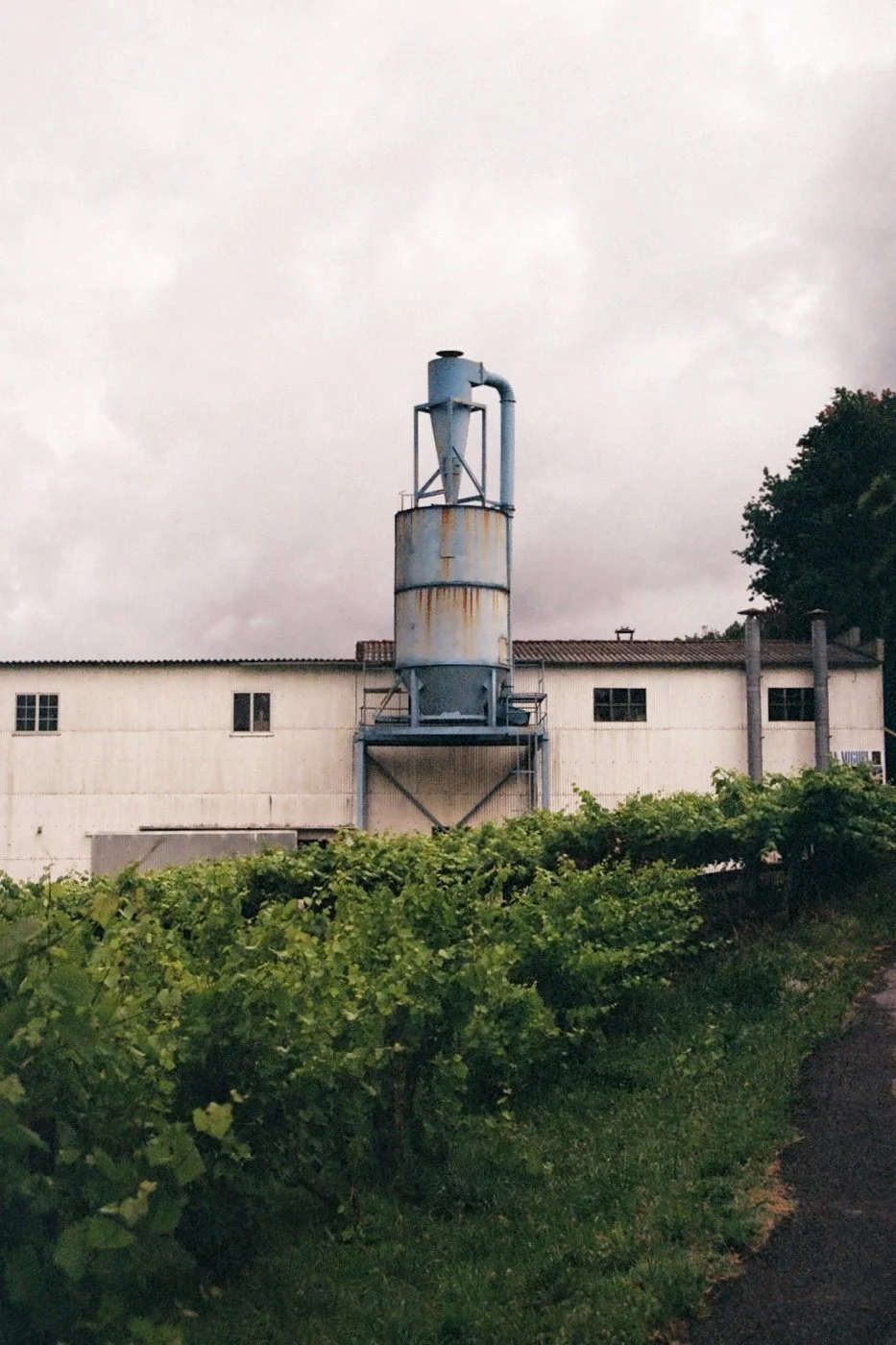 An industrial building with a tall, rusted metal ventilation or exhaust pipe and greenery in the foreground under a cloudy sky.