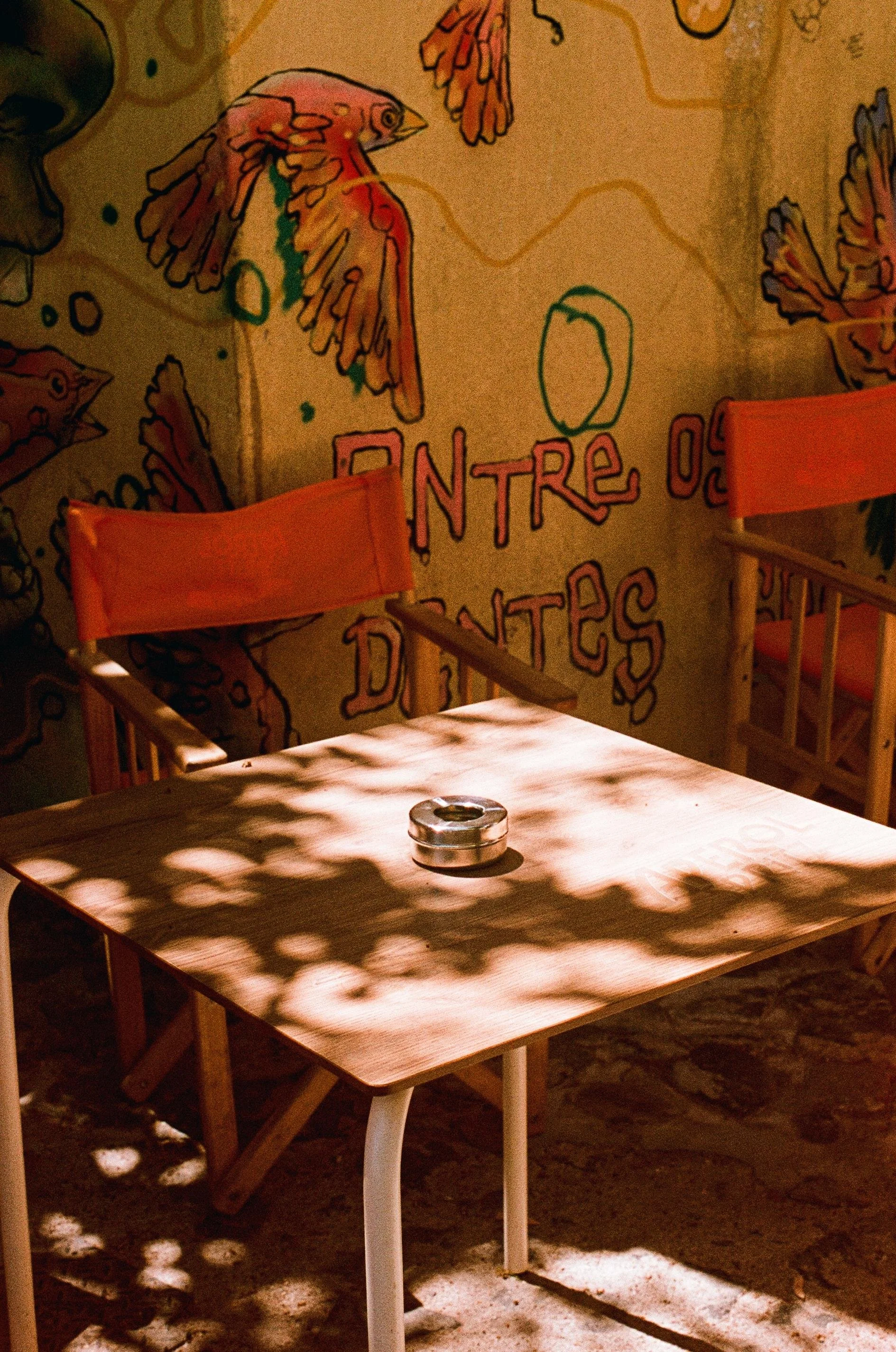 An outdoor seating area with a wooden table, two orange chairs, and a wall with colorful, artistic bird murals and painted text in French.