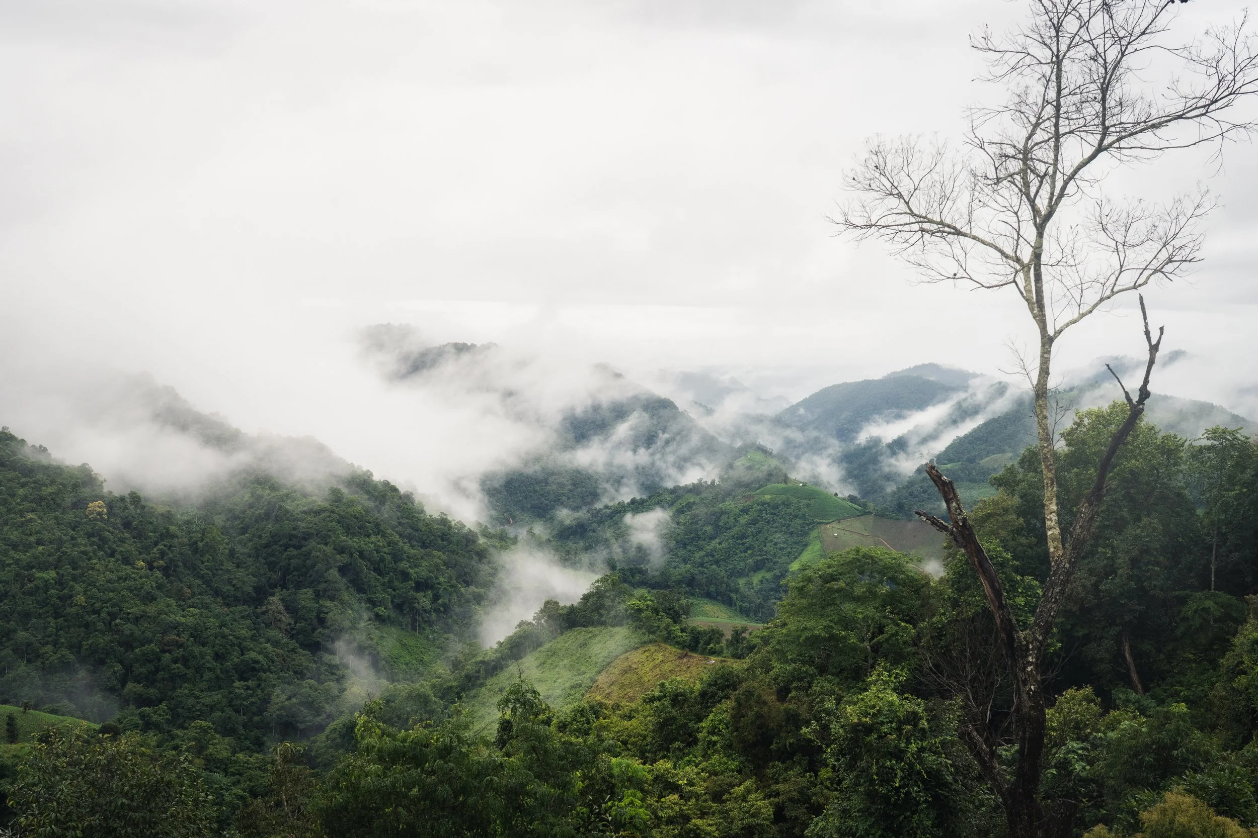 Mae Hong Son-9.jpg
