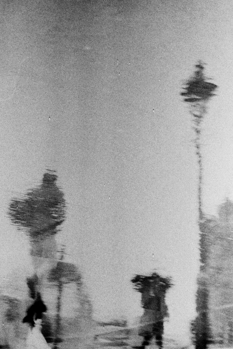 Blurred black and white photograph of tall trees and a power line against a sky.