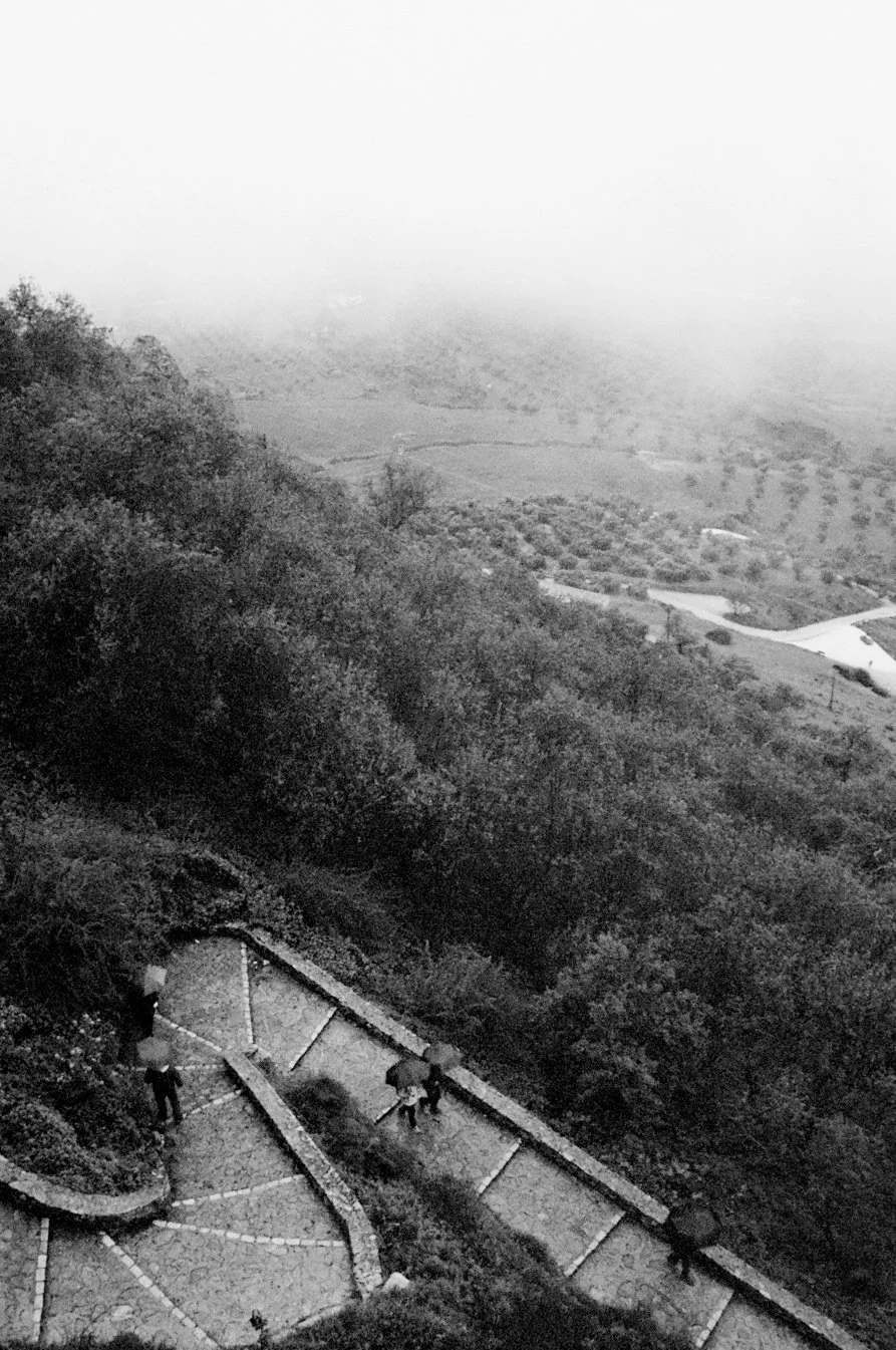 View of a foggy valley with trees, fields, and a winding road seen from a hilltop. A paved area with three people holding umbrellas is in the foreground.