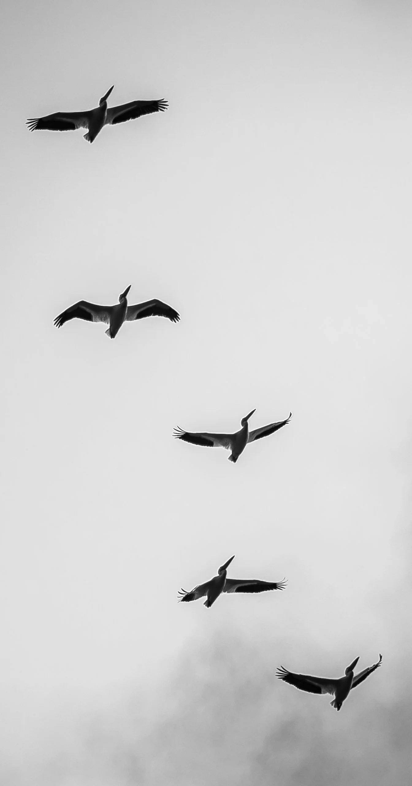 @Obscur.one