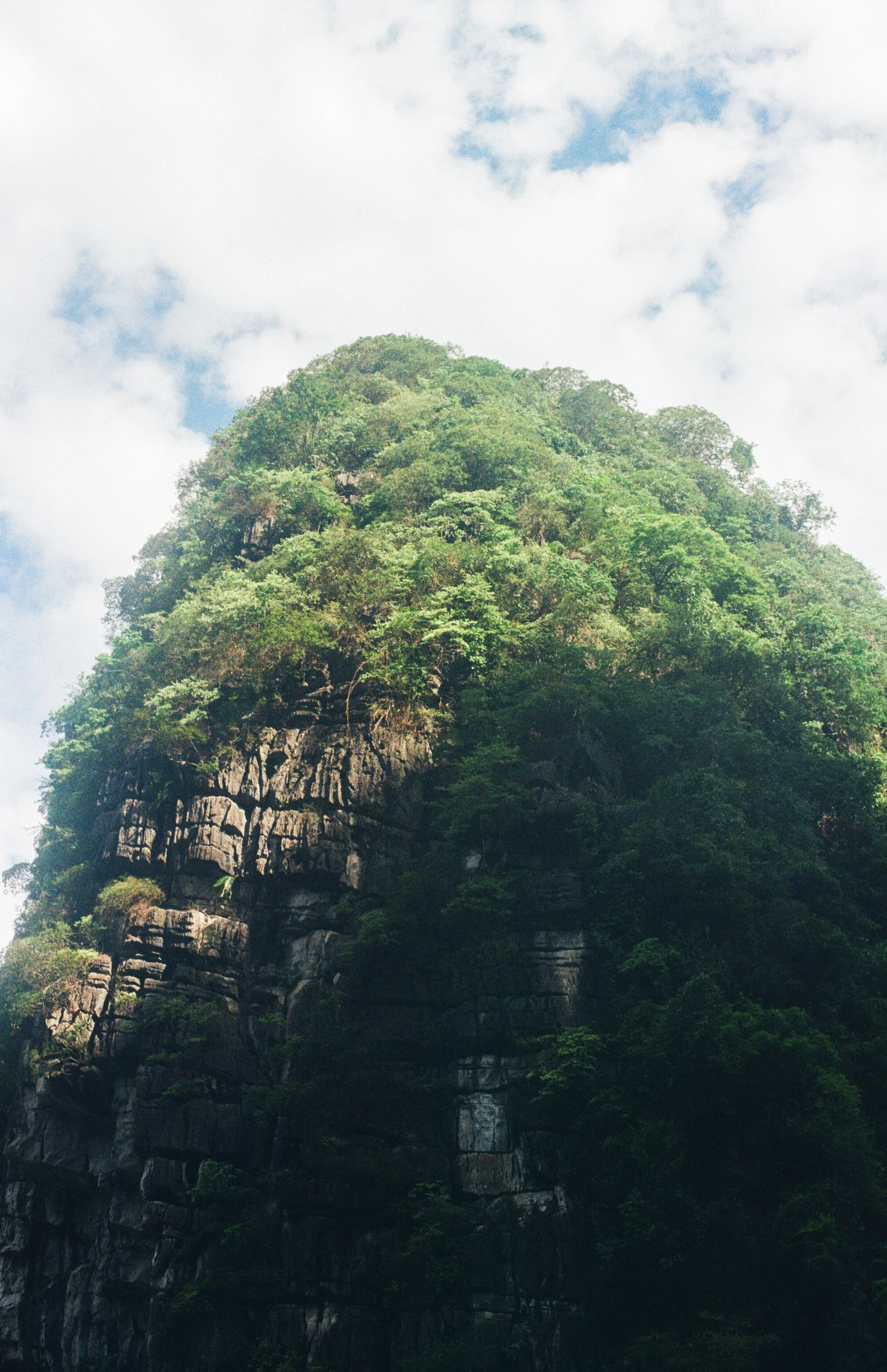 Kodak Gold-4.jpg
