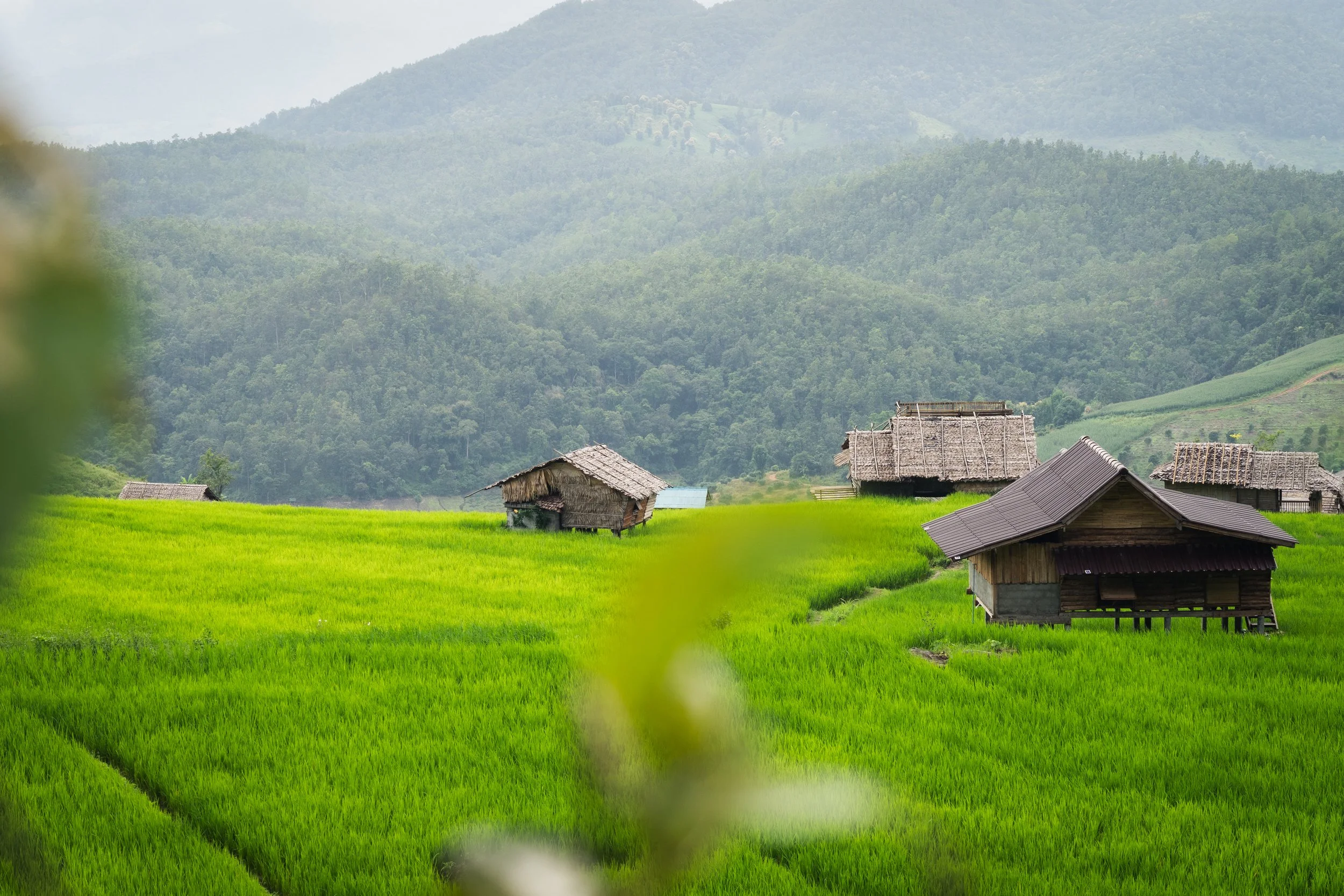 Mae Hong Son-2.jpg