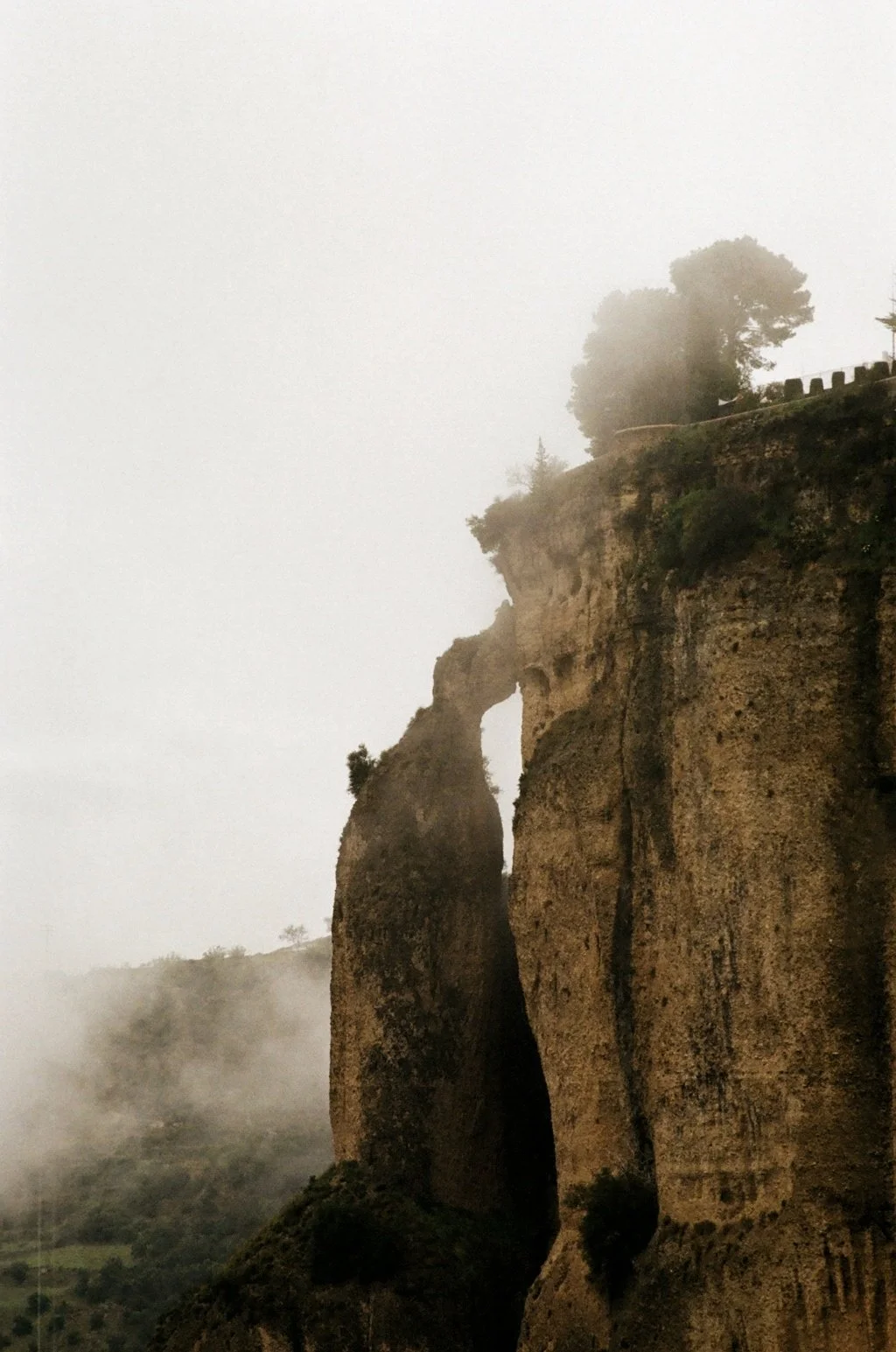 Famous rock formations resembling an elephant's head and trunk, partially shrouded in fog, with trees on top of the cliffs.
