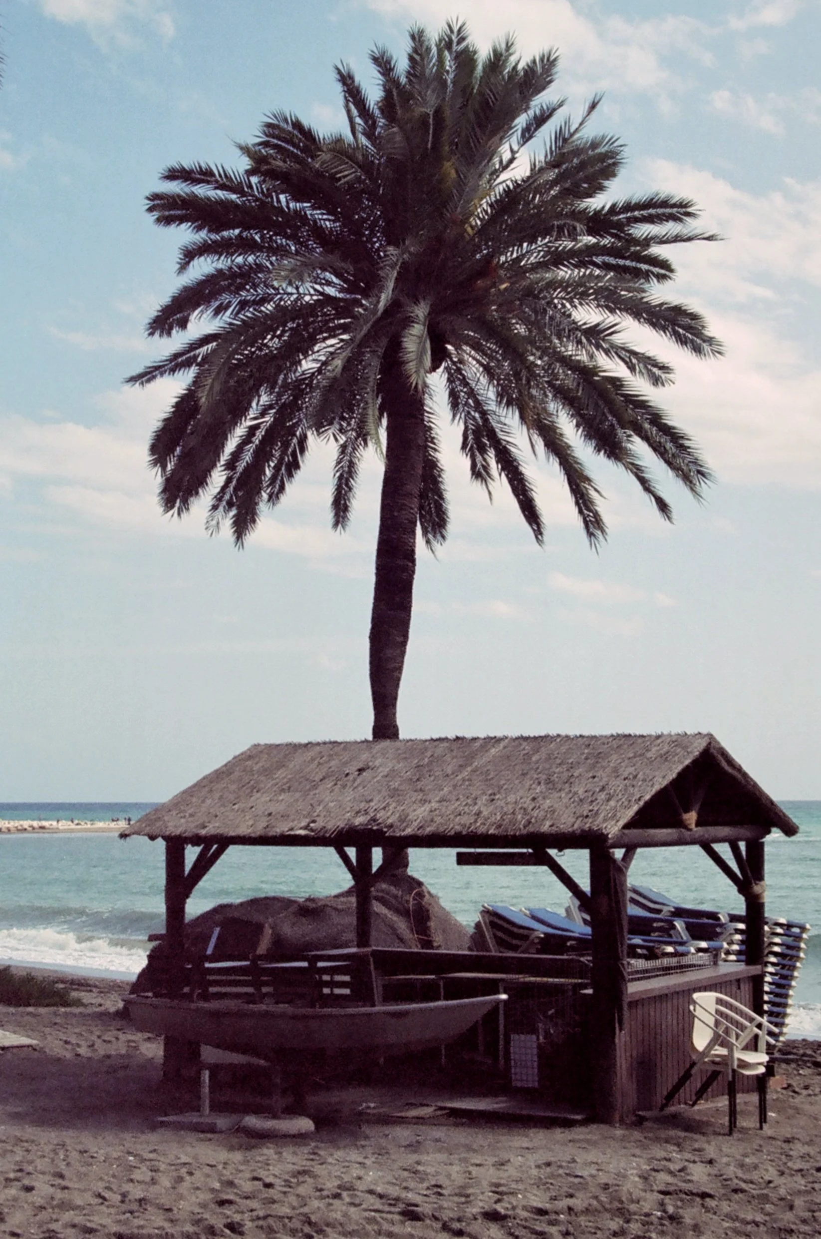 A palm tree and a beach hut with chairs on a sandy beach overlooking the ocean under a partly cloudy sky.