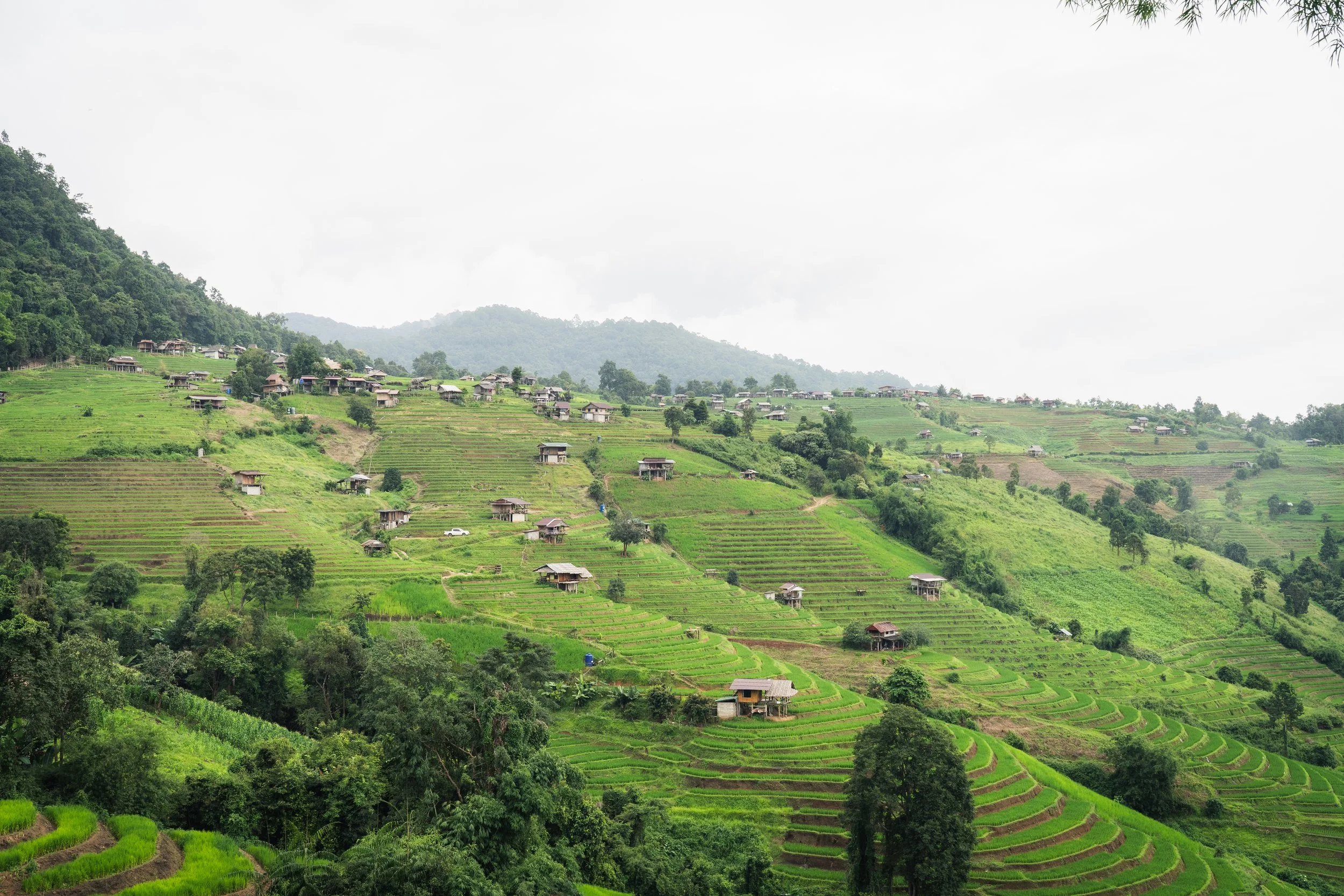 Mae Hong Son-25.jpg