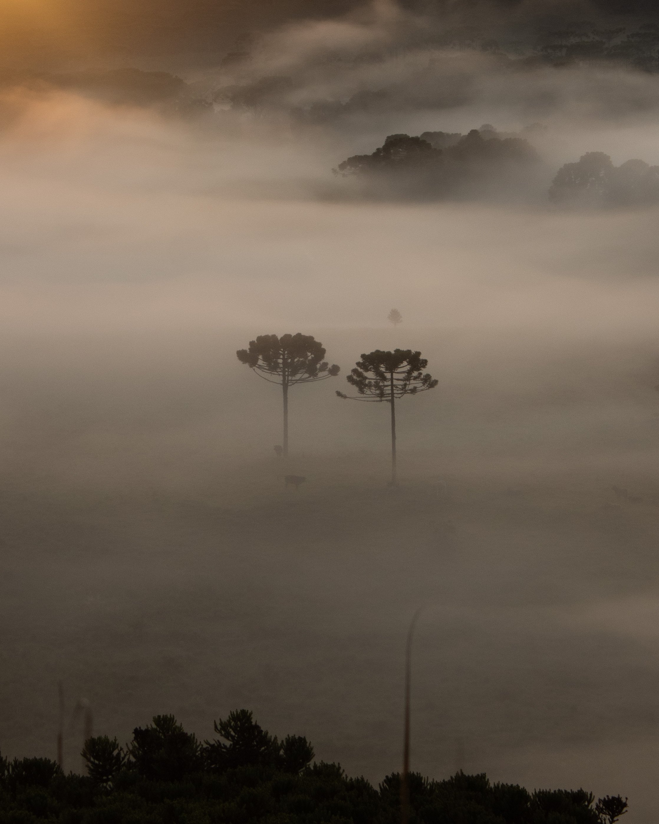 @photography_brandt