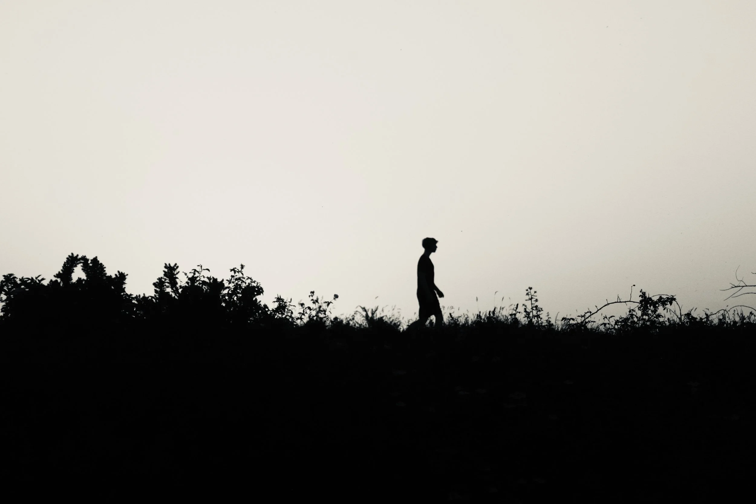 fjjo_gallery
