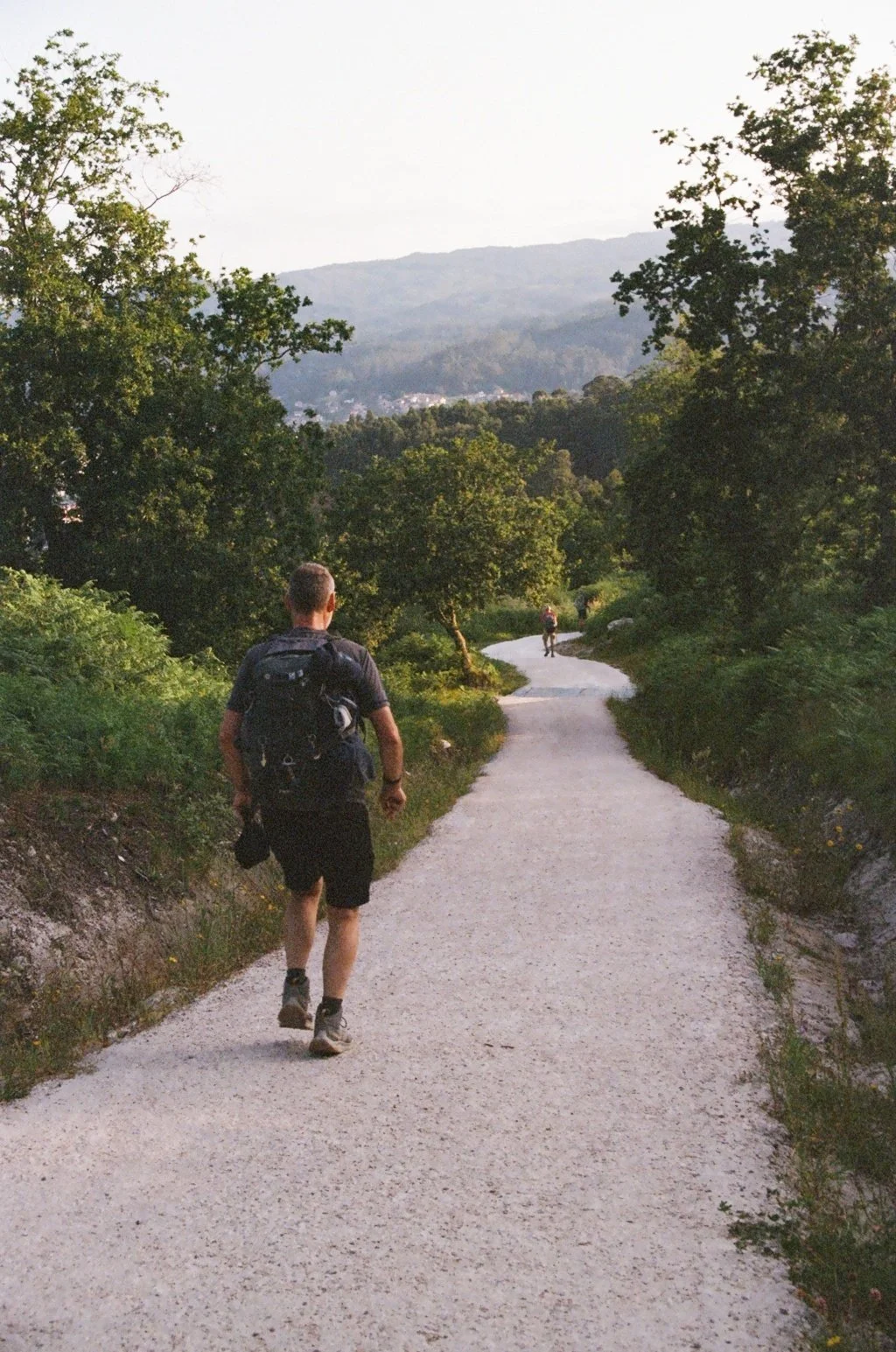 A hiker walking on a winding dirt trail surrounded by green trees and mountains in the distance.