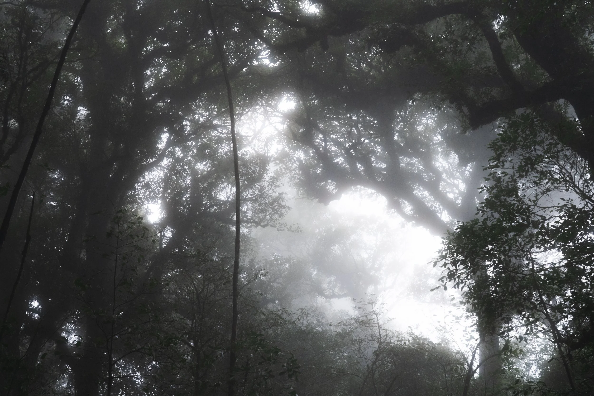 Mae Hong Son-7.jpg