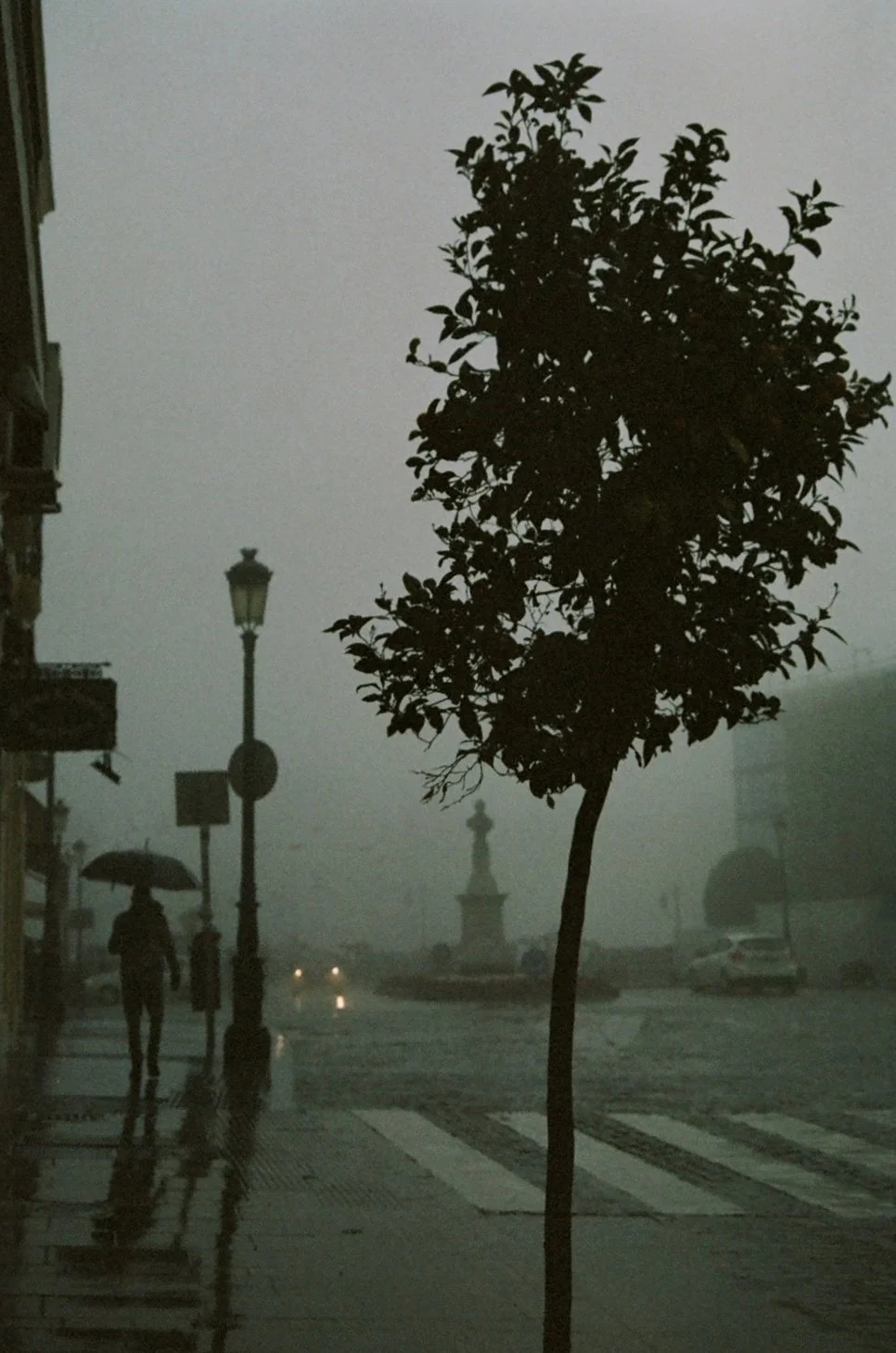 A rainy city street scene with a silhouette of a person holding an umbrella walking along the sidewalk, a solitary tree in the foreground, a street lamp, and a fountain in the background, all shrouded in fog.