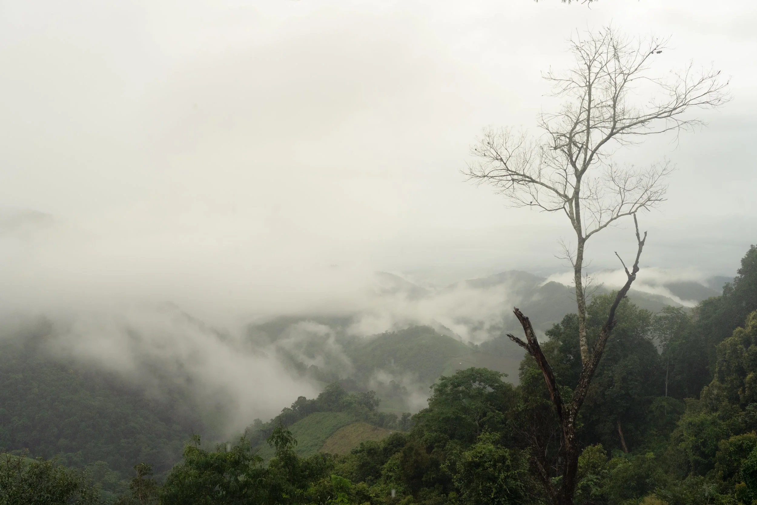 Mae Hong Son-20.jpg