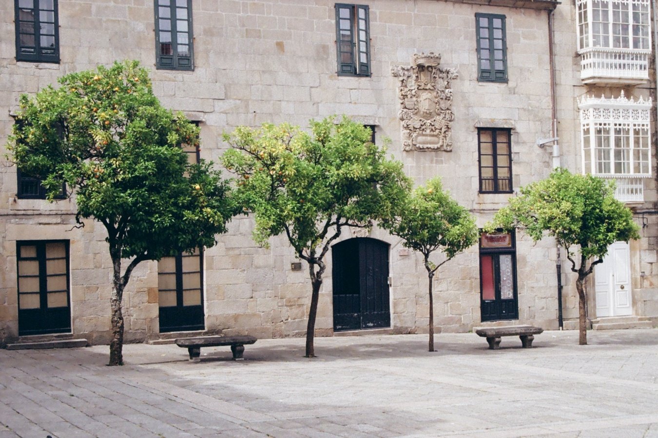 A quiet urban scene with four small trees lining a paved sidewalk in front of an old stone building. The building has multiple black-framed windows, a coat of arms or decorative stone crest, and a black arched door. There are two wooden benches under