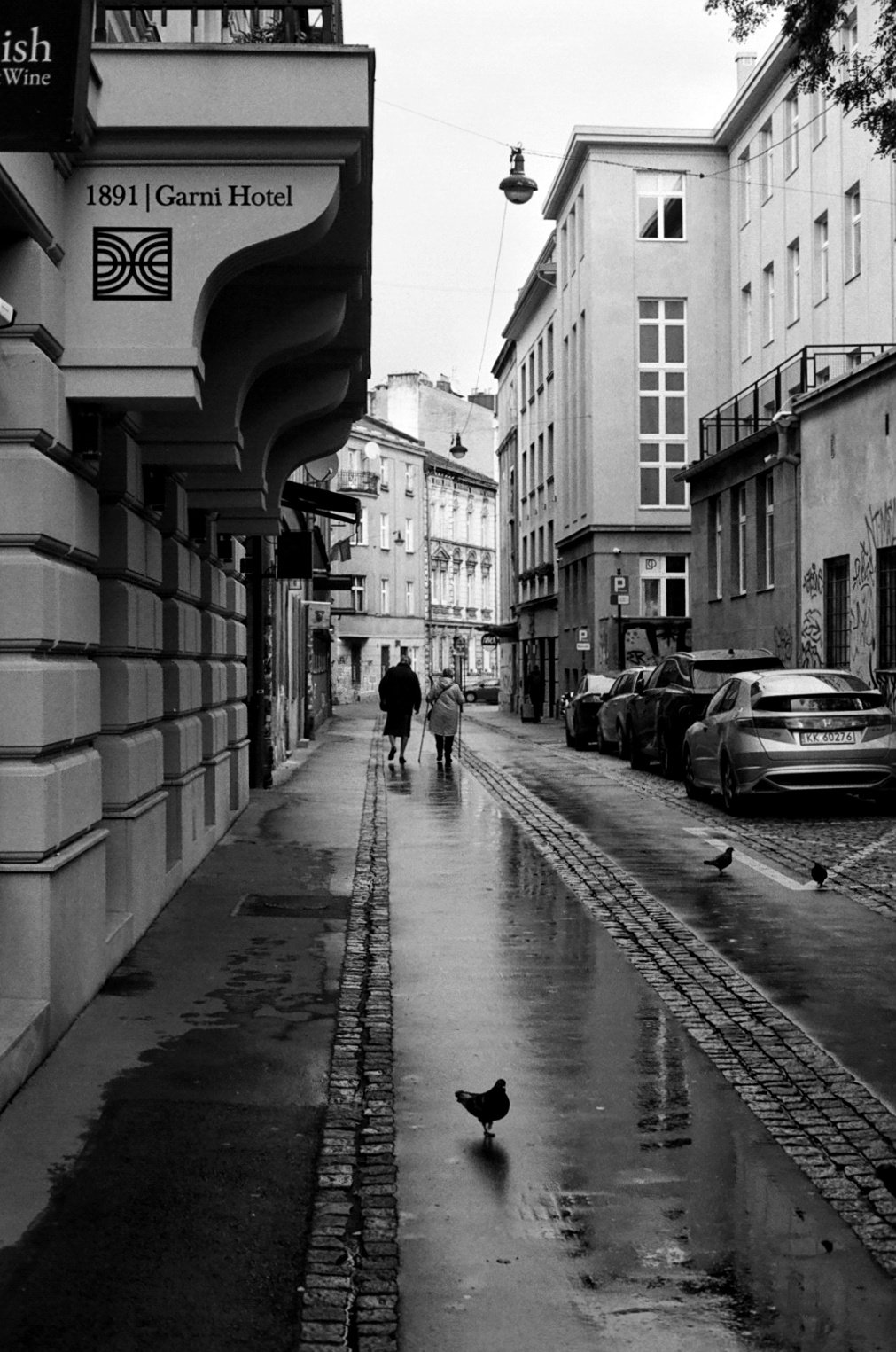A black and white photo of a city street with pedestrians walking on a wet sidewalk, parked cars on the right, and buildings on both sides. Two birds are on the street near the sidewalk.