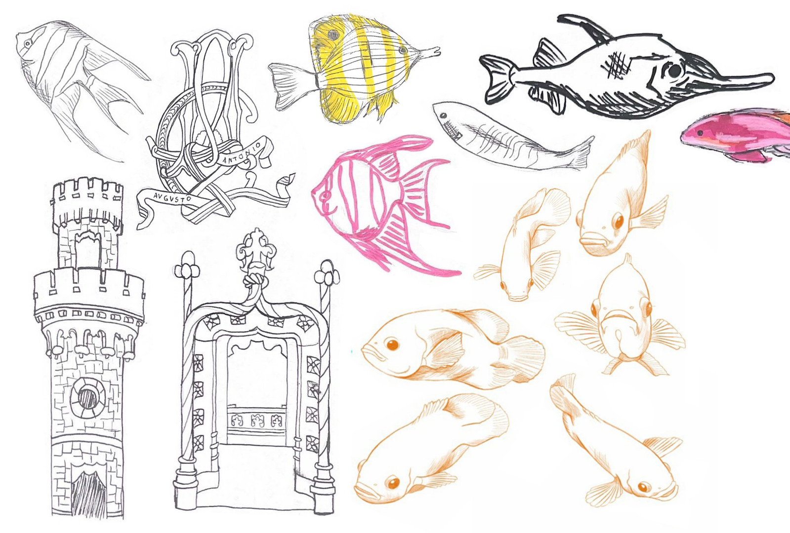 fish adventure portfolio page cropped.png