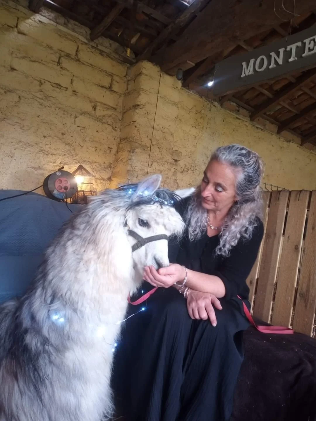 WhatsApp Image 2024-04-19 at 10.22.16.jpeg