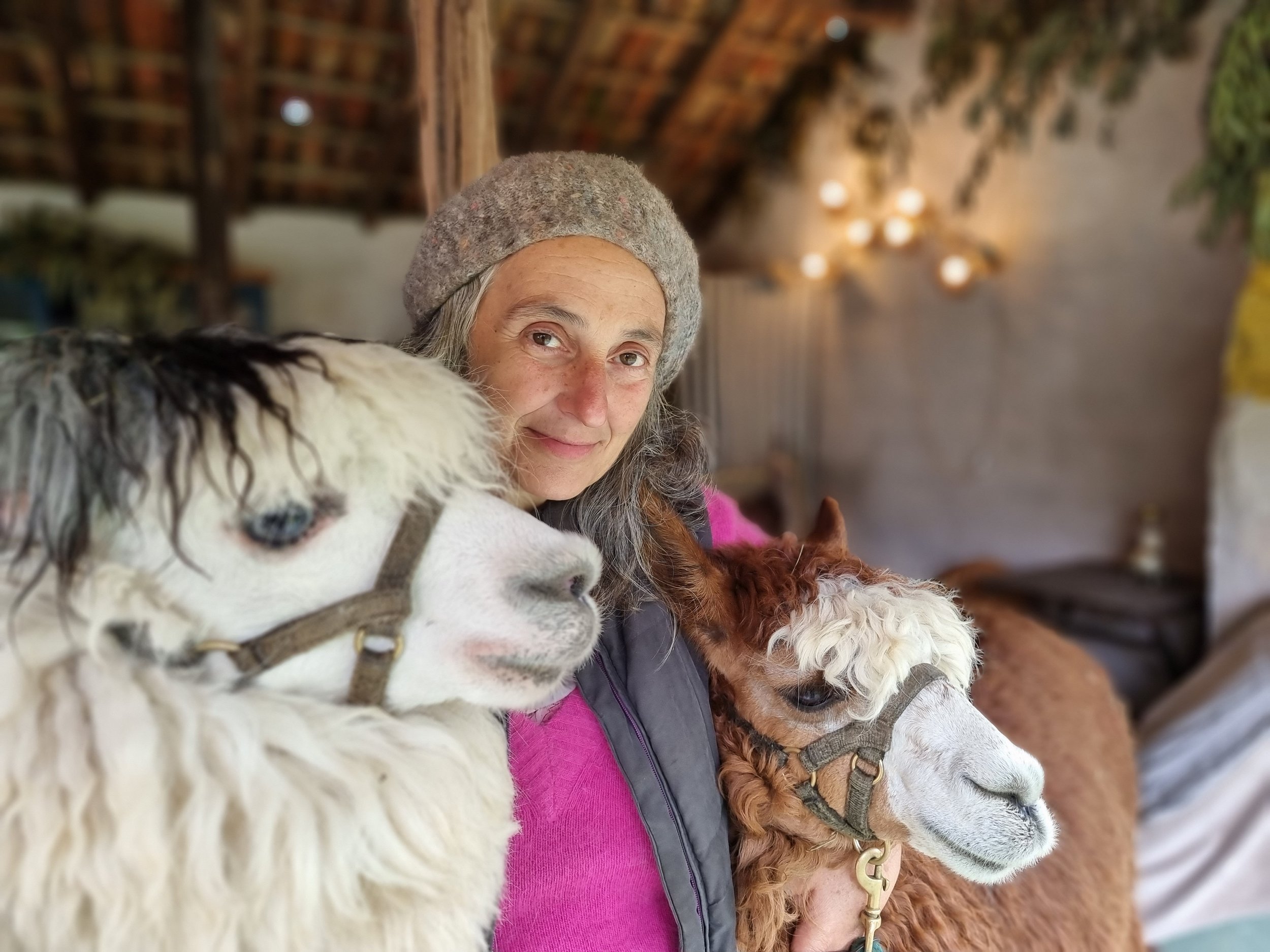 Lisa, a woman wearing a gray hat and pink shirt, smiling, surrounded by two alpacas with different fur colors and styles, inside a rustic wooden building with warm lighting at Monte Frio Alpacas.