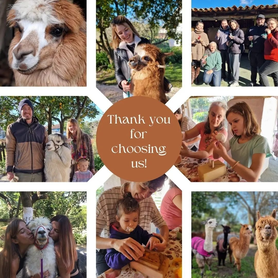 Collage of people enjoying a day at a farm with alpacas, including close-up of alpaca face, woman holding alpaca, group photo with alpacas, children and adults interacting with animals, and people crafting and eating, with a central message, 'Thank you for choosing us!'