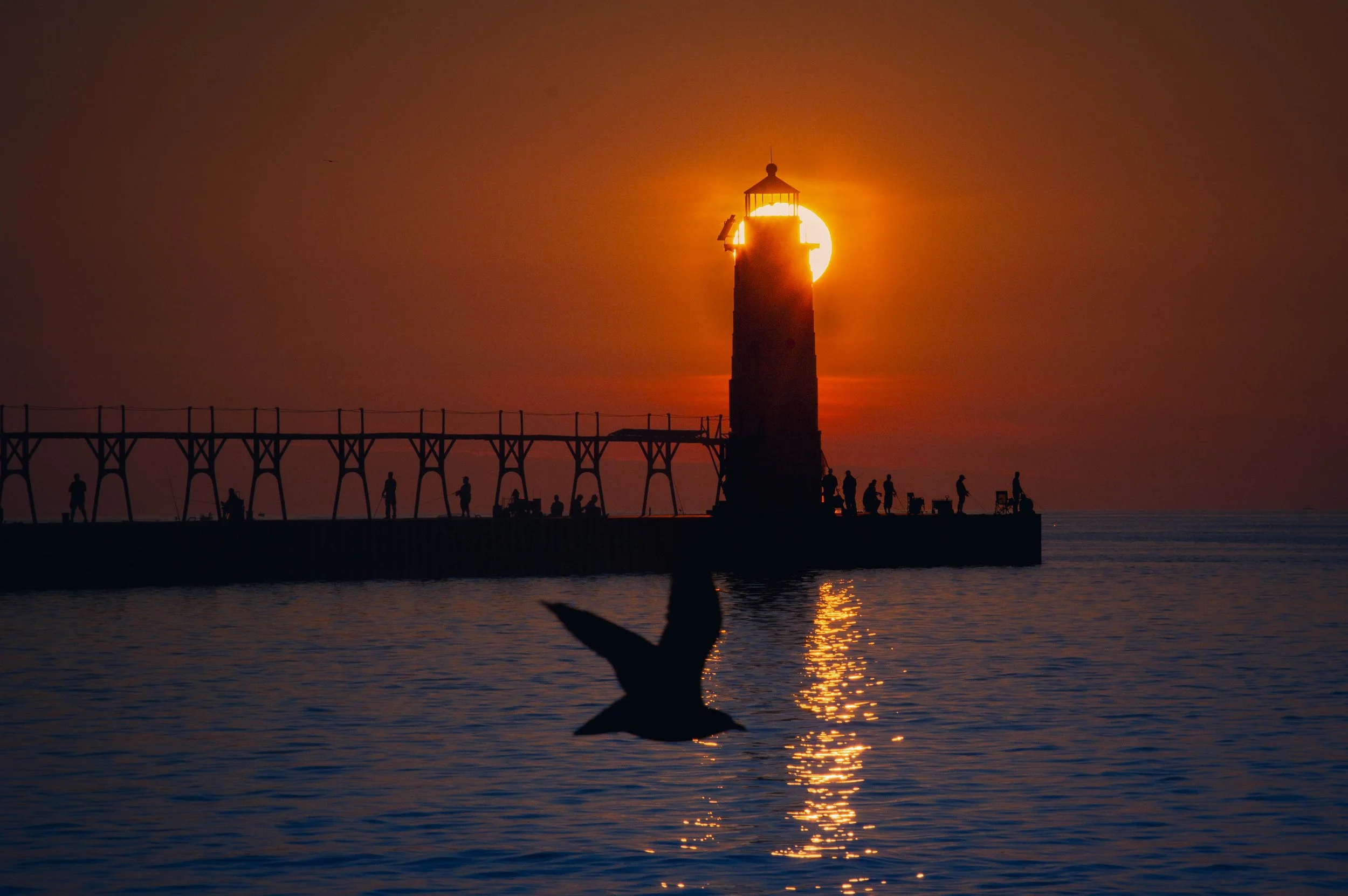 Lighthouse_W_Bird.jpg