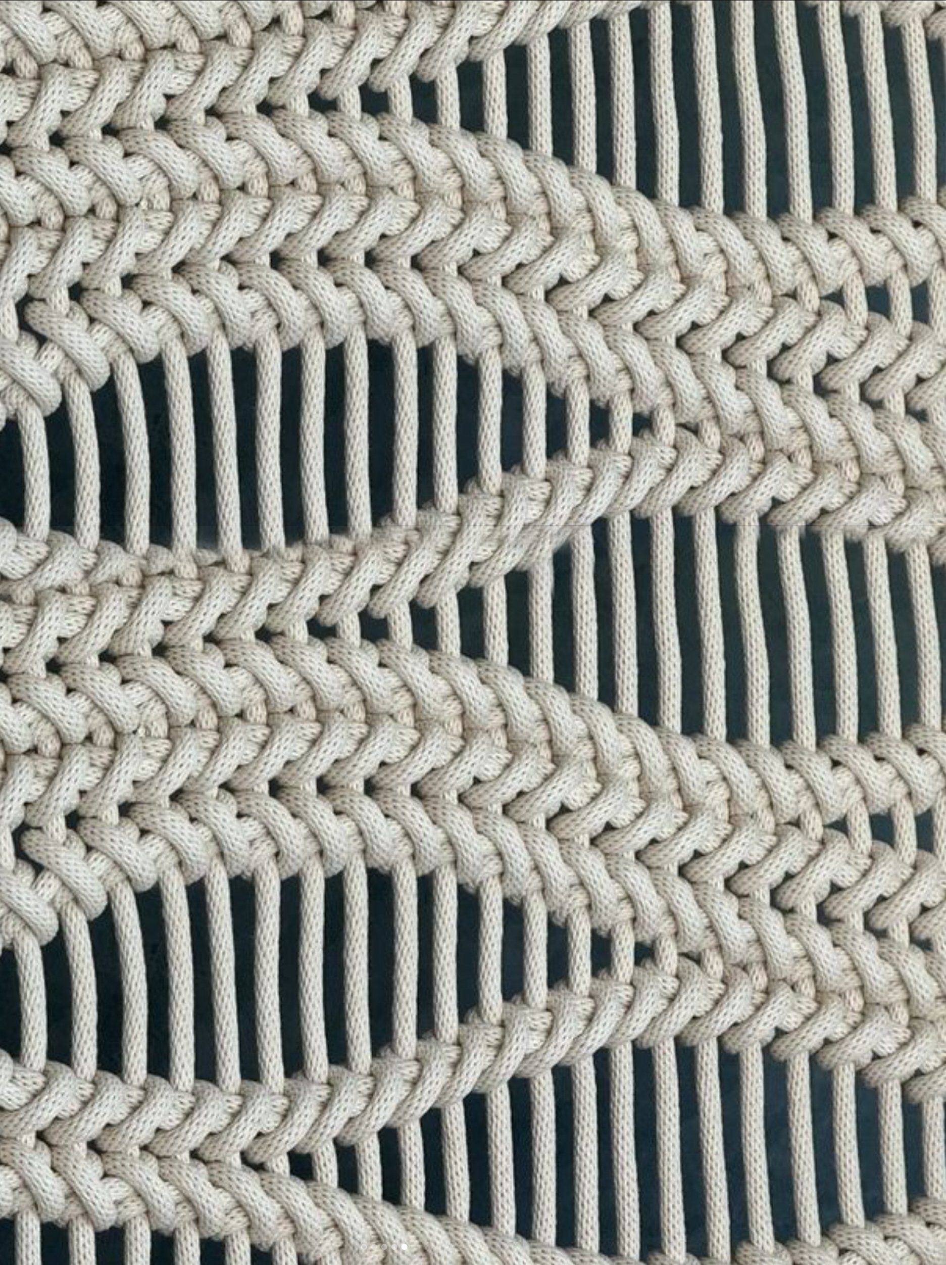 ThickWaveRopeArt_ScreenKnottedOrganicPartition.jpg