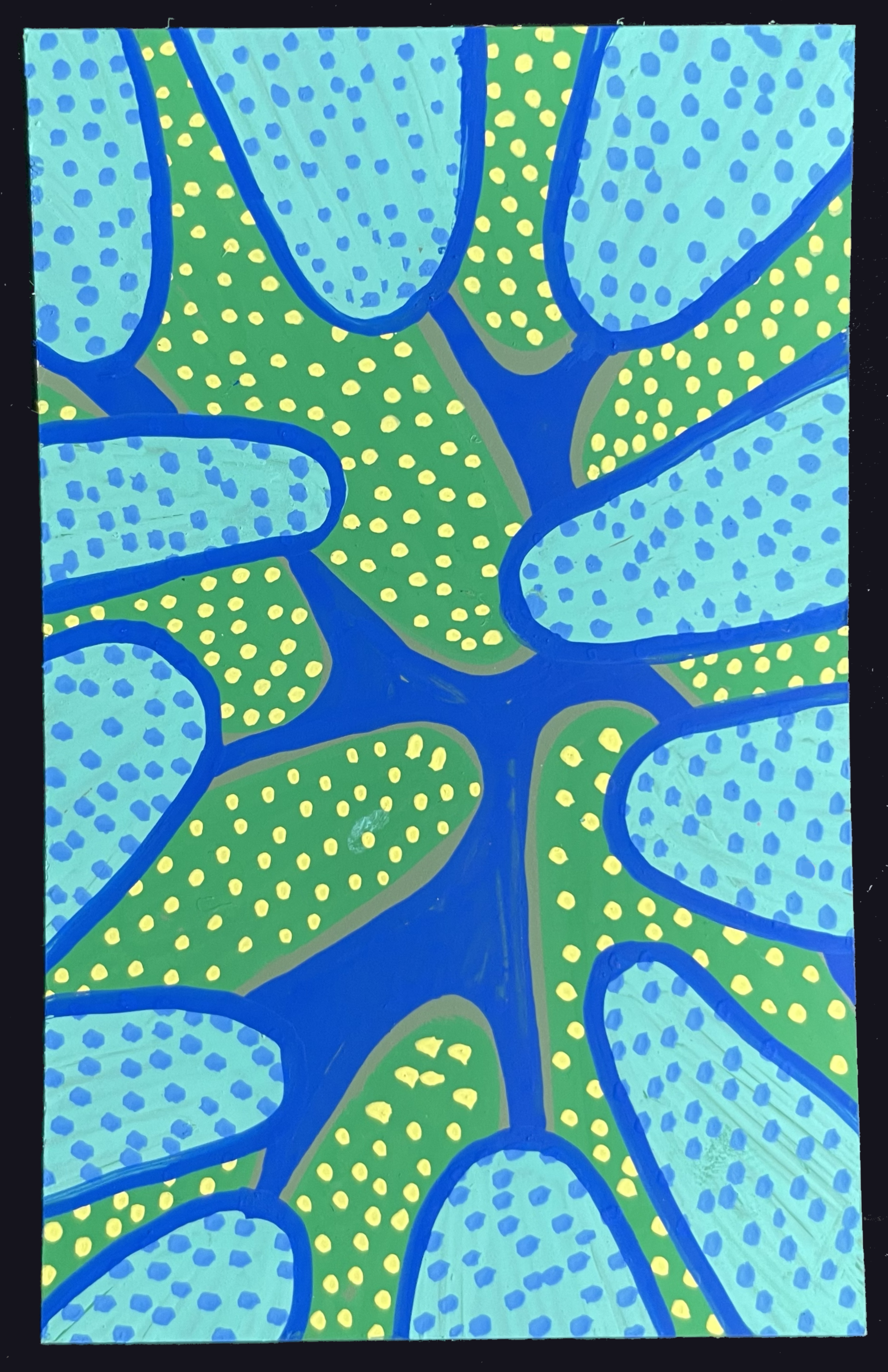 IMG_0086.png