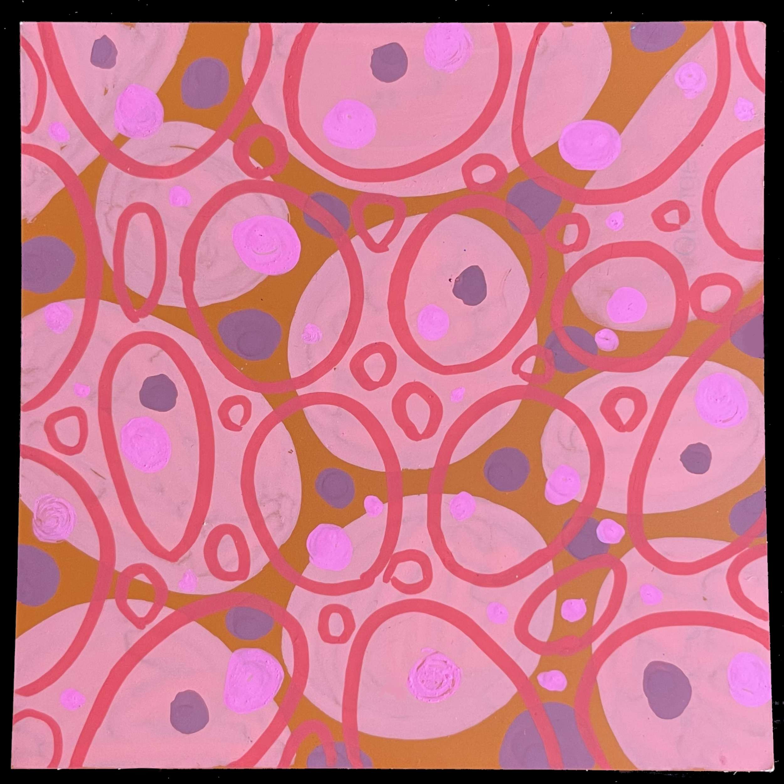 IMG_0101.png