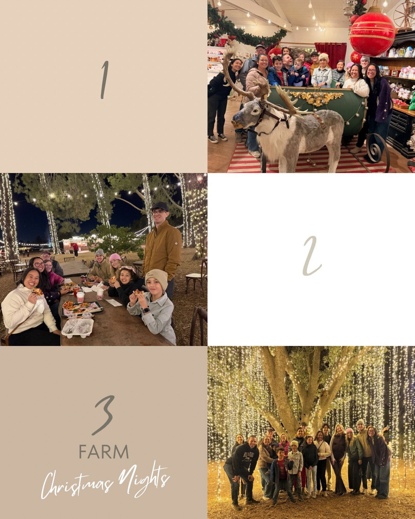 A few photos from our time at 123 Farm 🎄
Last week, some members of Paradox explored the Christmas lights, sipped hot chocolate, and truly got into the holiday spirit while spending quality time together 🤍 @123farmorganics