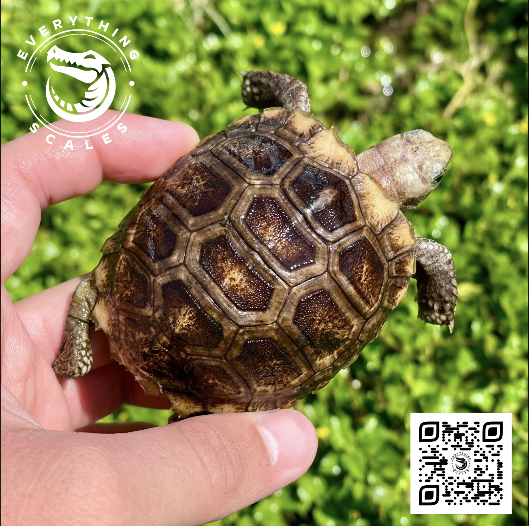 Screenshot 2026-03-26 at 3.58.58 PM.png