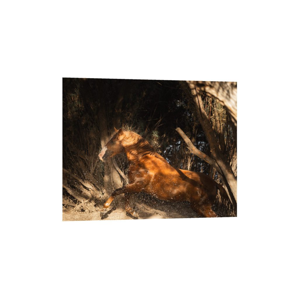 ptq_1_6_1120_0_5600_4480_0_false_ffffff_0_0_.png