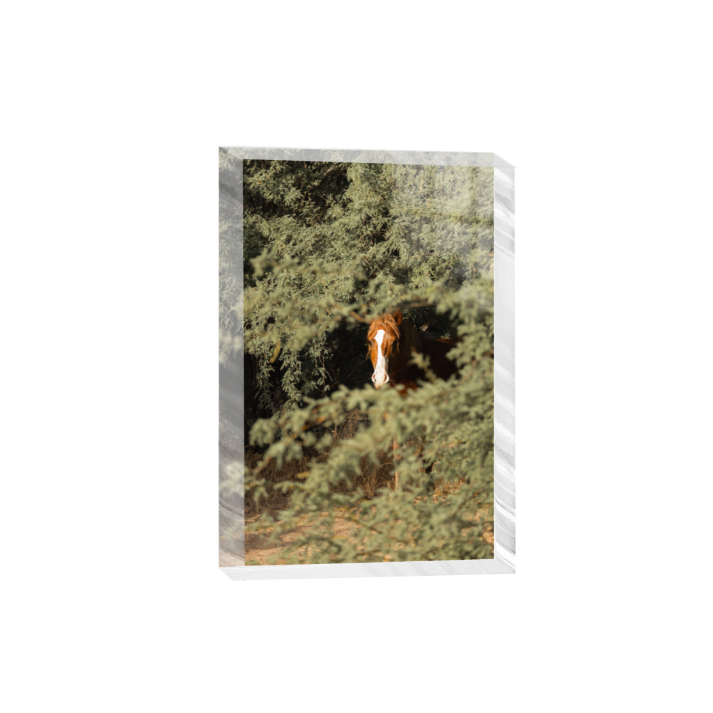 ptq_300_3_11_0_4480_6720_0_false_ffffff_0_0_.png