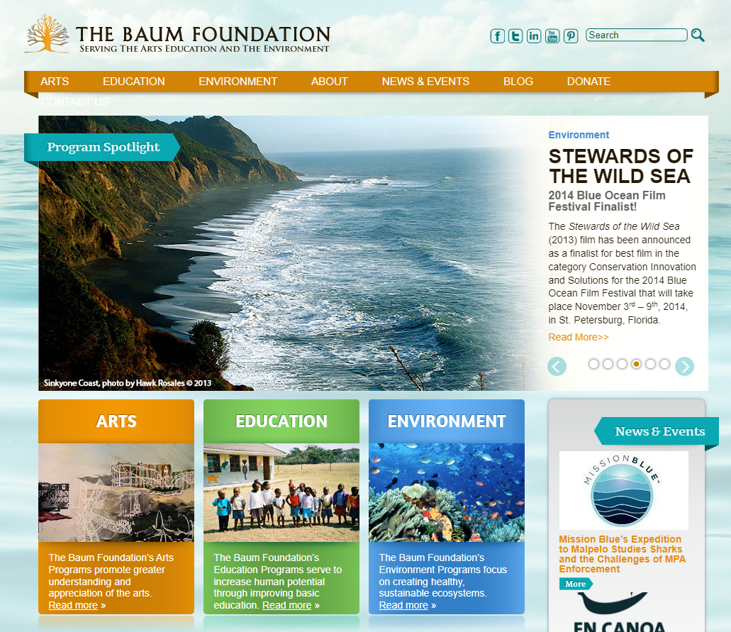 baum foundation website thumbnail.PNG