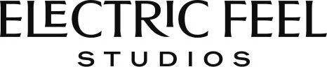 Electric Feel Studios