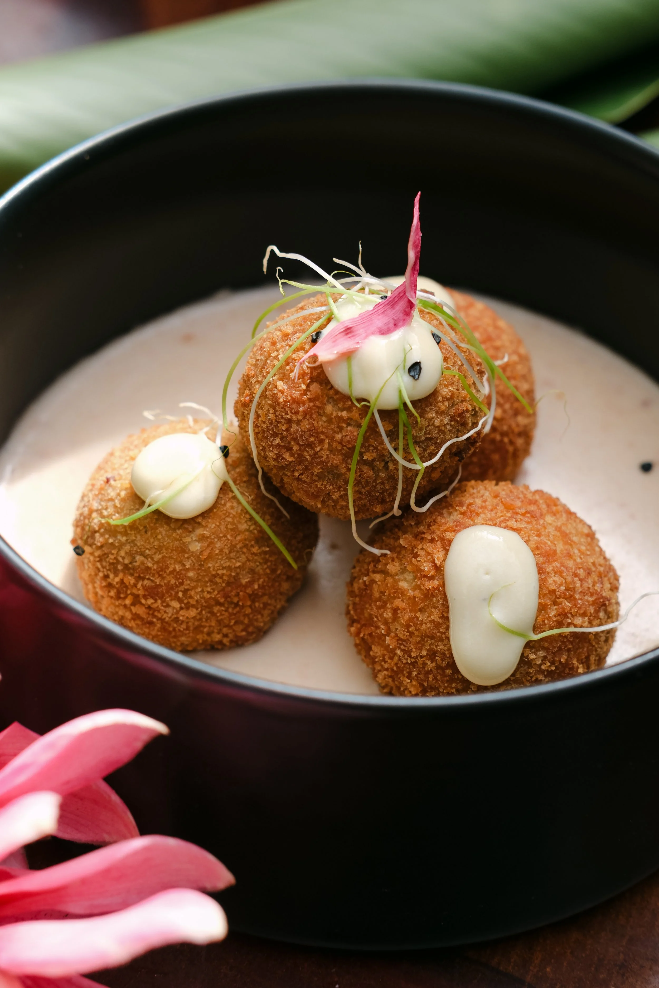 Bundle - Fotografía y Video