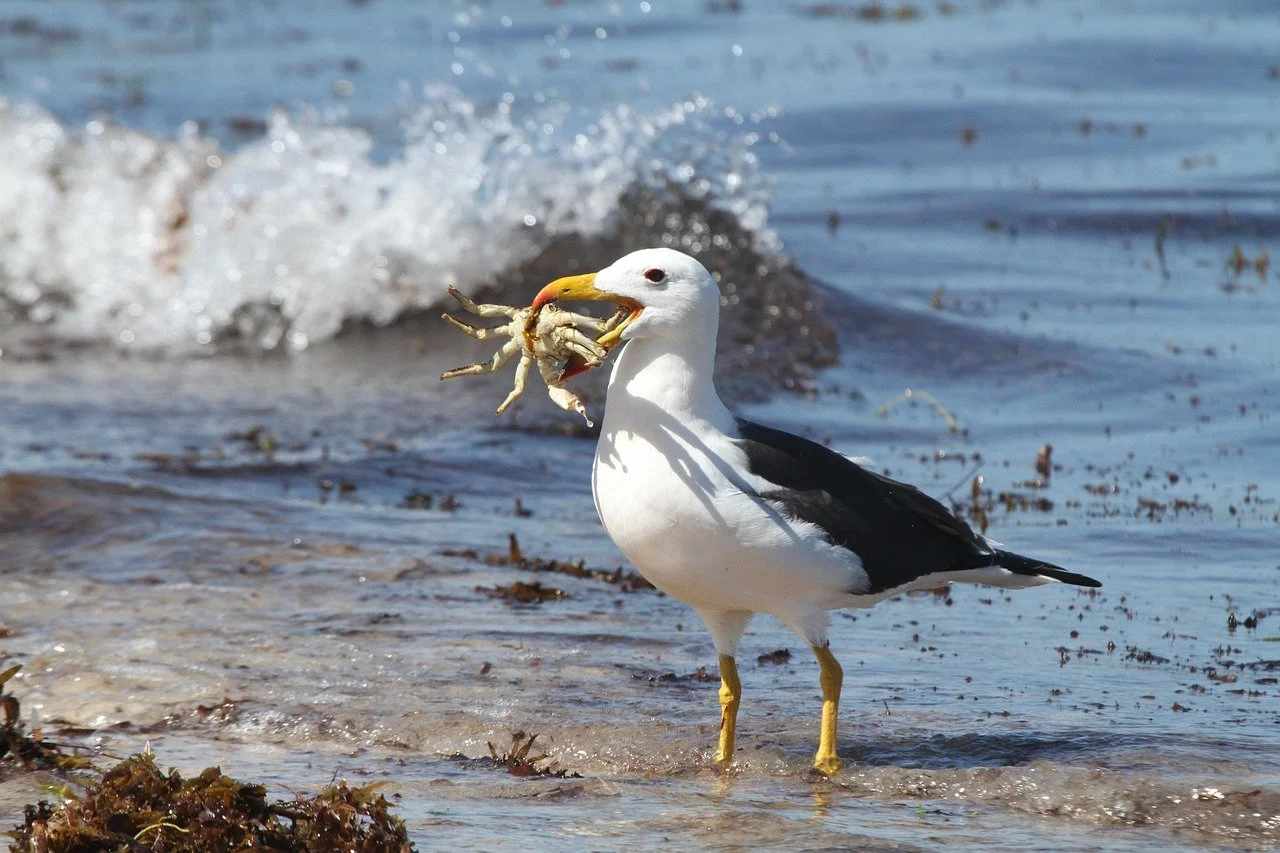 From asset to albatross: What to do when your content is the problem
