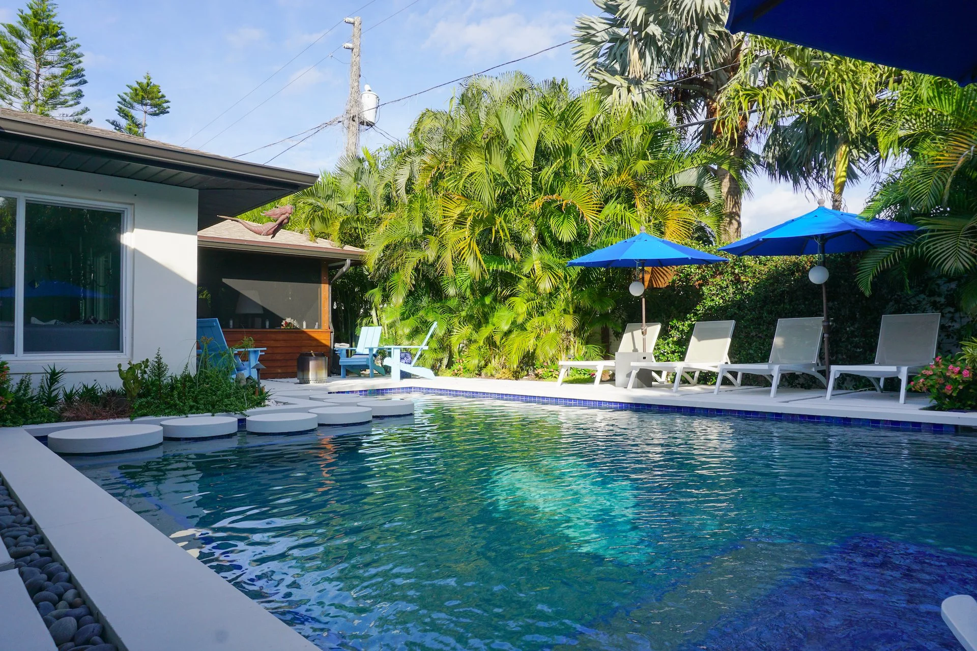 Pisan D Comp from sunshelf.JPG