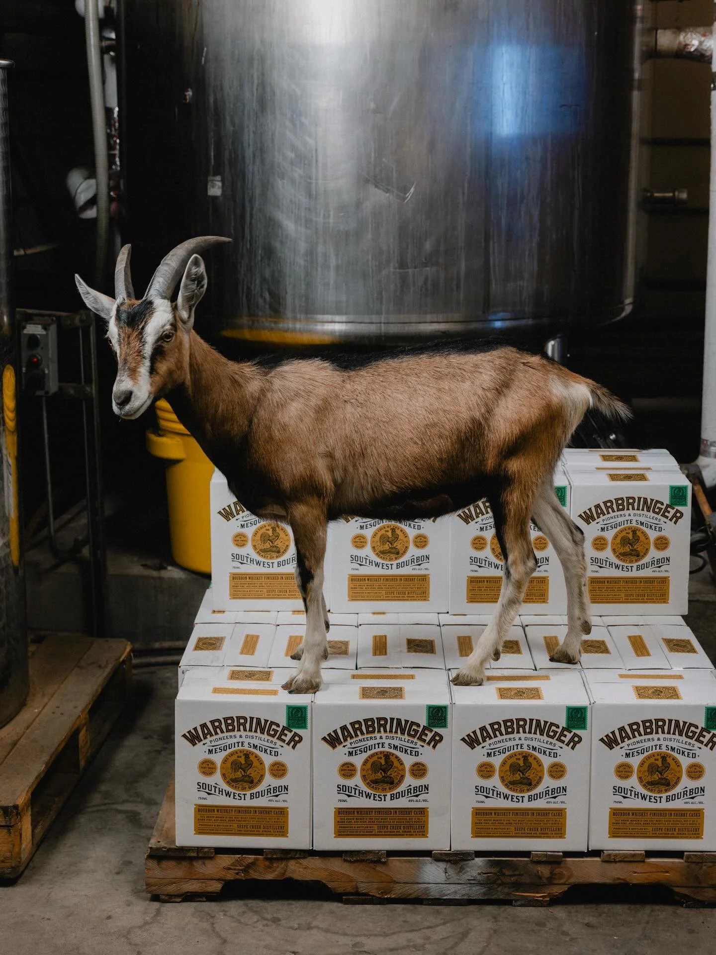 GOATs were &lsquo;ere. @bulletvalentina @joshlbarnett @jcampbellwhisky