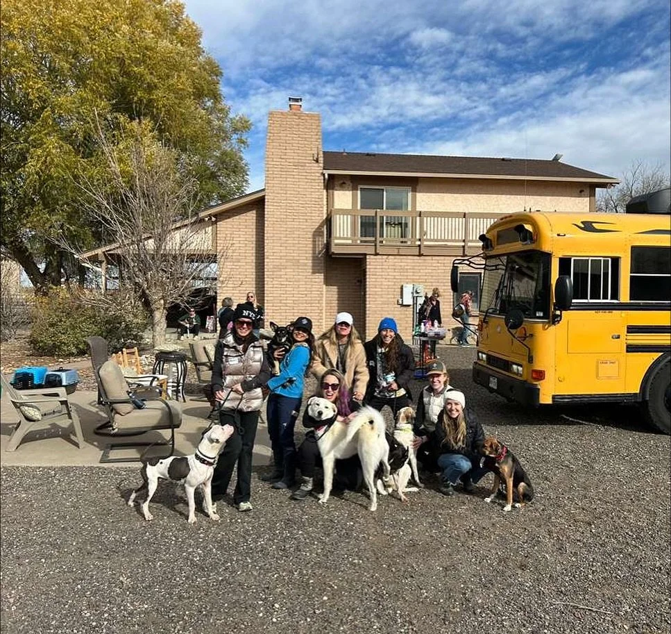 Yesterday Paws Cruisaders LLC transported a school bus full of rescued pets from San Antonio, Texas all the way to the Pacific North West. In many cases, they were delivered to their new owners who adopted them from afar 🥹. We were able to meet them