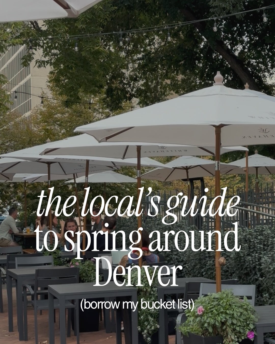 The ultimate Denver spring bucket list 🌷(you might wanna save this)

Patio bites, coffee shops, farmer&rsquo;s markets, garden centers, happy hours and local trails. Consider this your local&rsquo;s guide to enjoying spring around Denver right.

If 