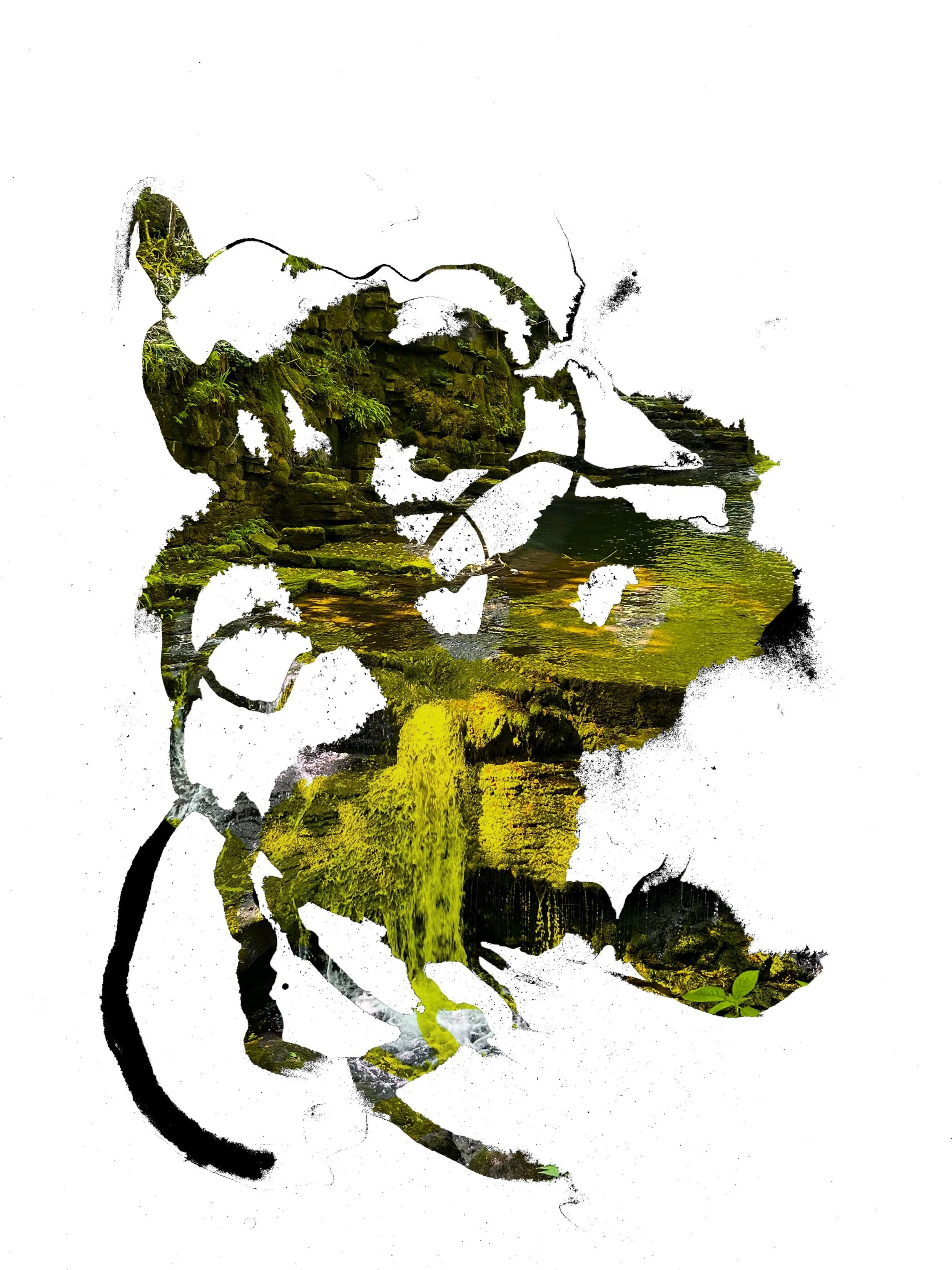 TLD_01 copy.jpg