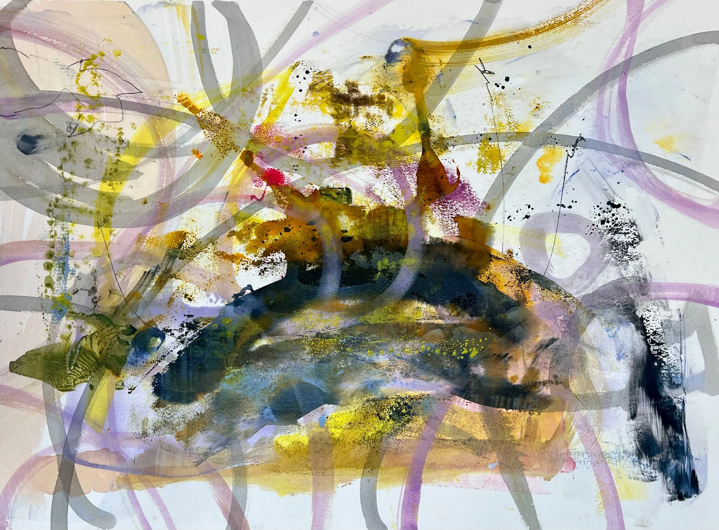 Loop Field
2026
Sumi ink, acrylic, concentrated watercolor ink, glazing medium on watercolor paper
15x22.25in