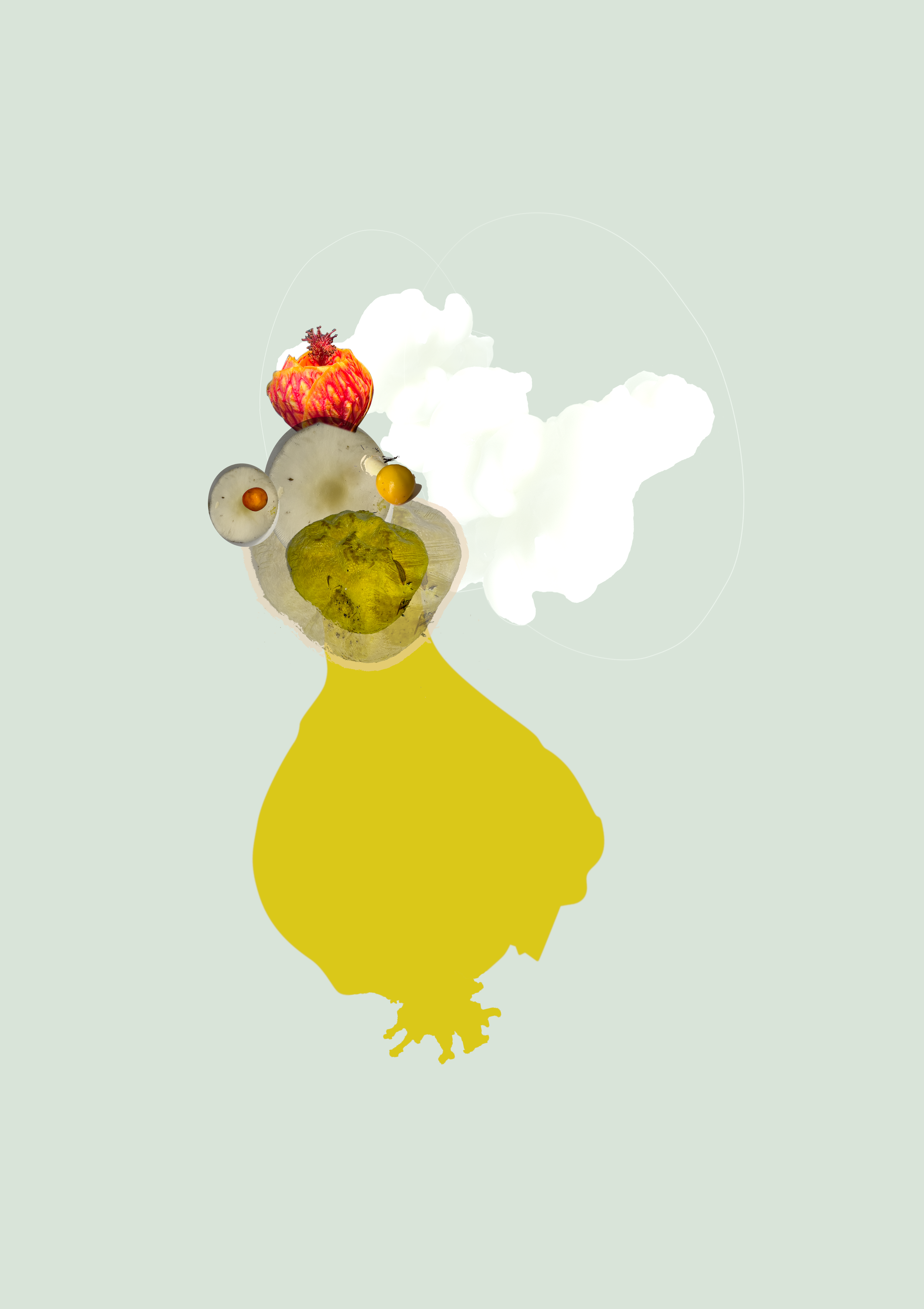 shroomchicken.png