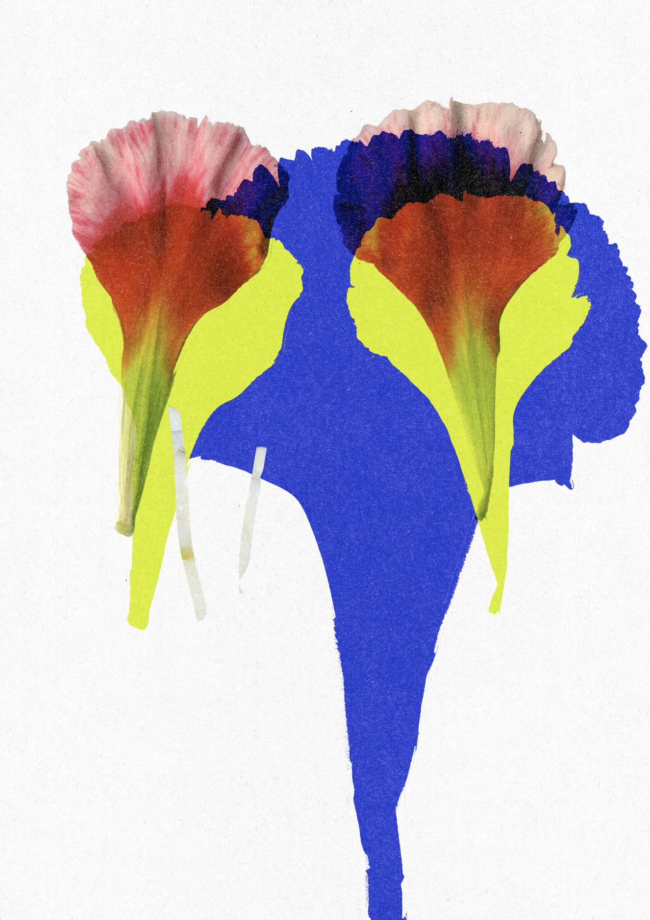 Screenshot 2024-10-18 at 4.58.59 PM.png