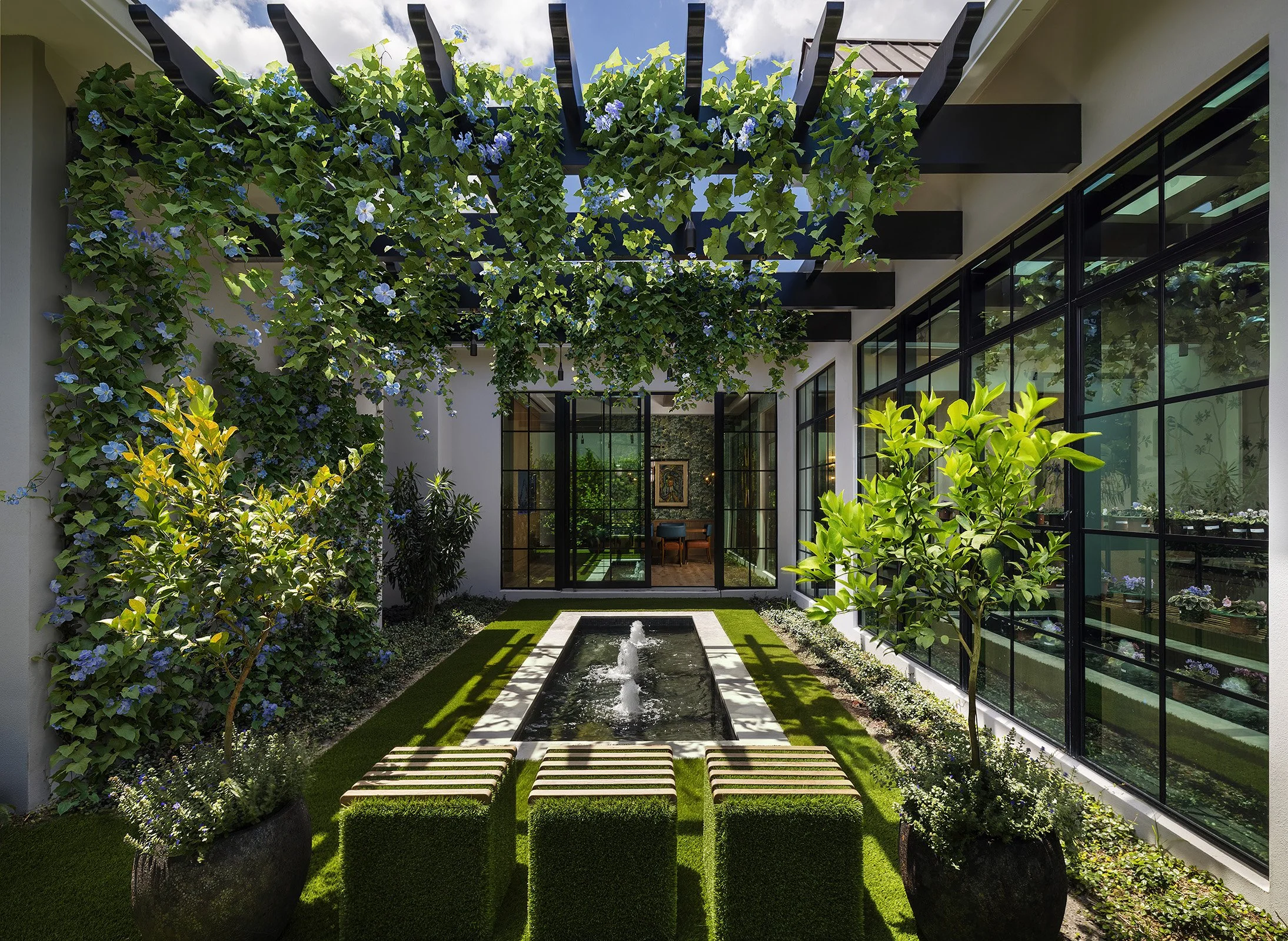 Andrea Lecusay Interior Design